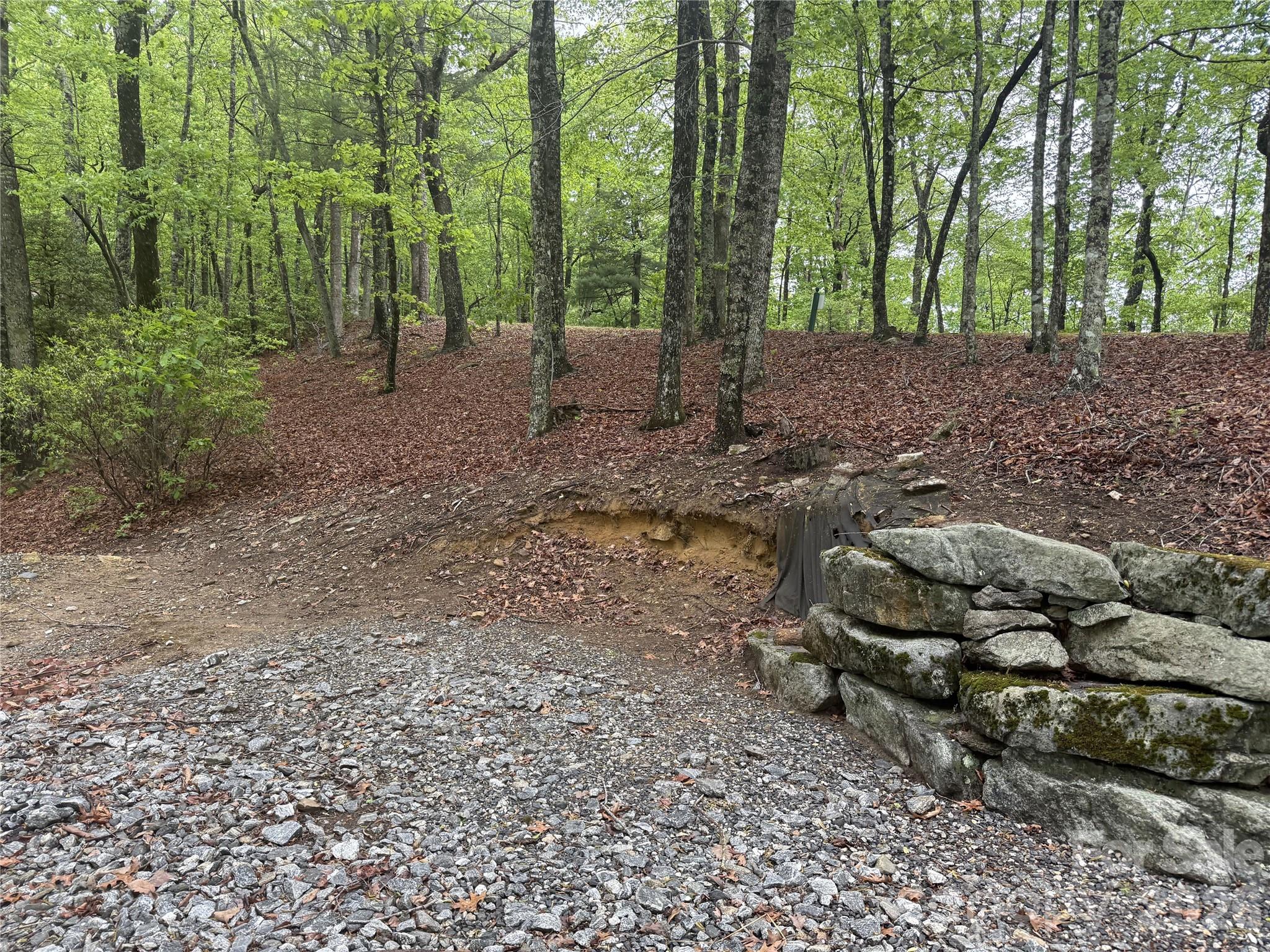 39 Black Bear Ridge Trail Zirconia NC 28790