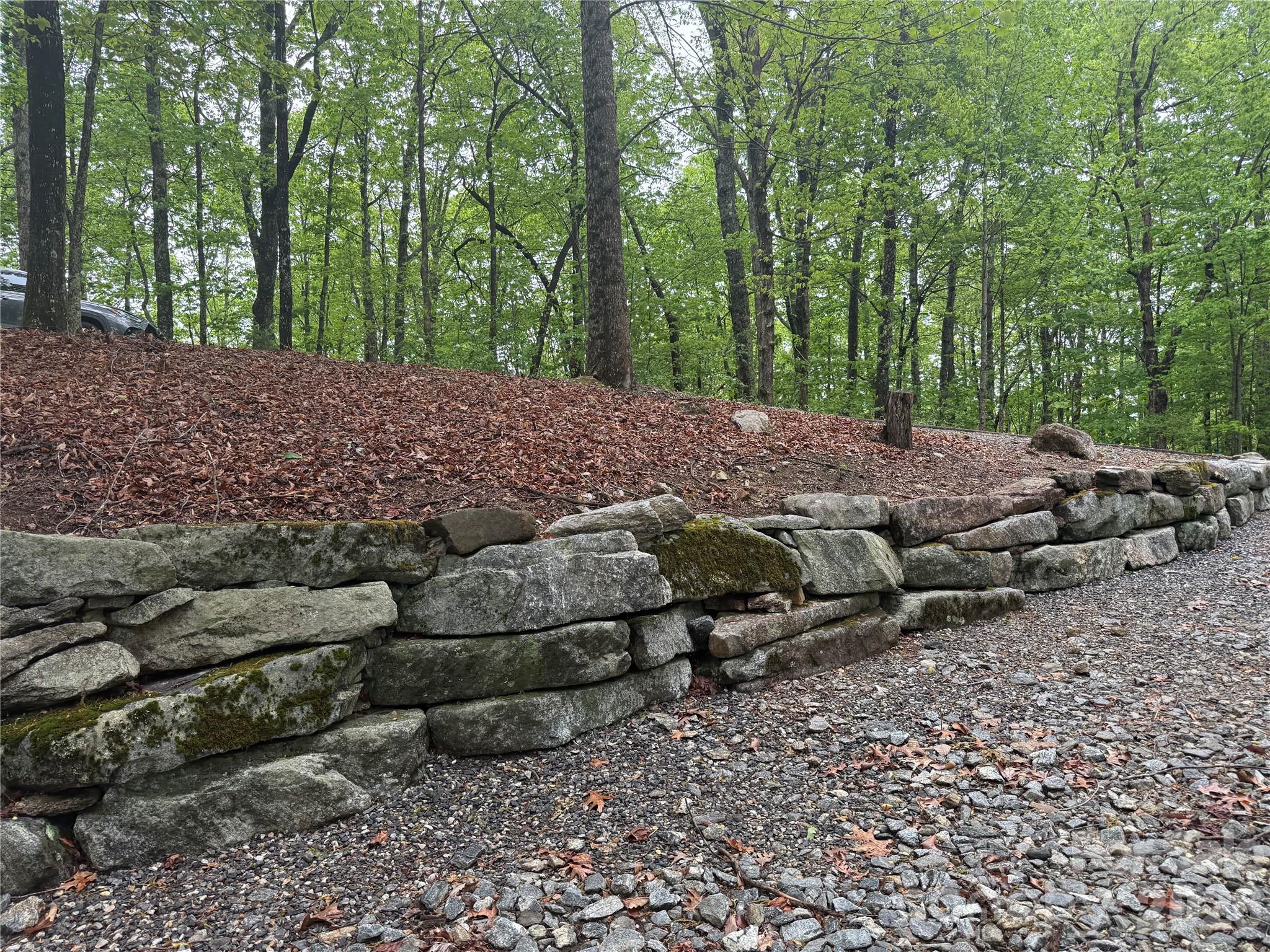 39 Black Bear Ridge Trail Zirconia NC 28790