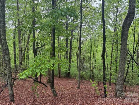 39 Black Bear Ridge Trail Zirconia NC 28790