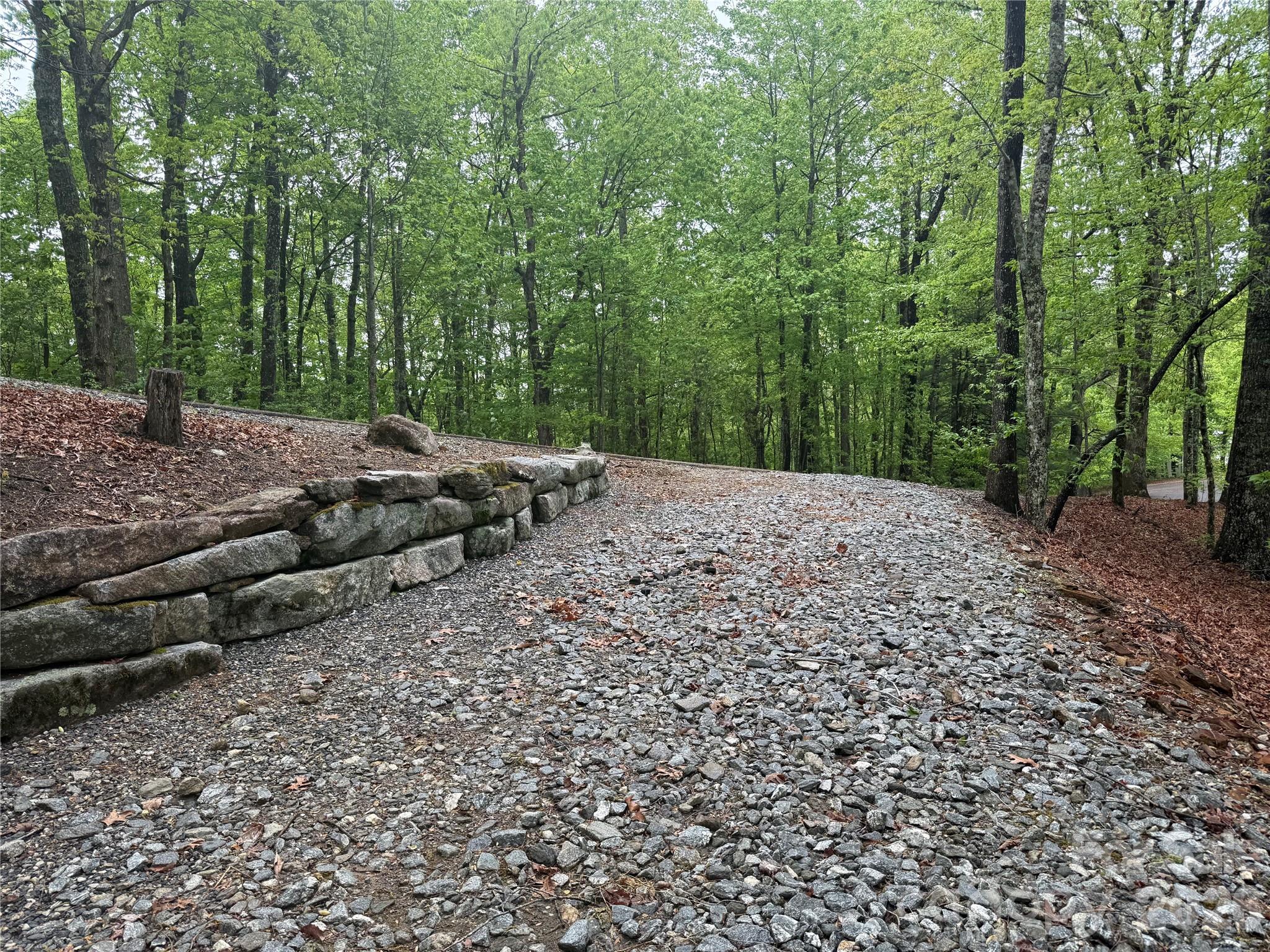 39 Black Bear Ridge Trail Zirconia NC 28790