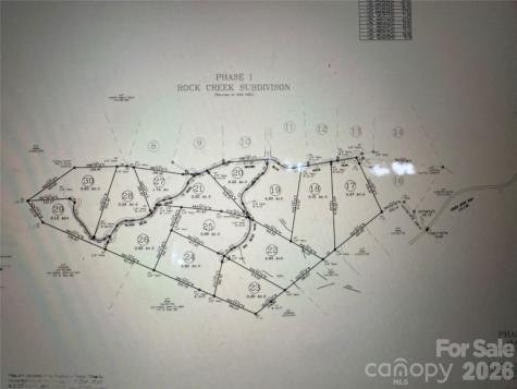 39 Black Bear Ridge Trail Zirconia NC 28790