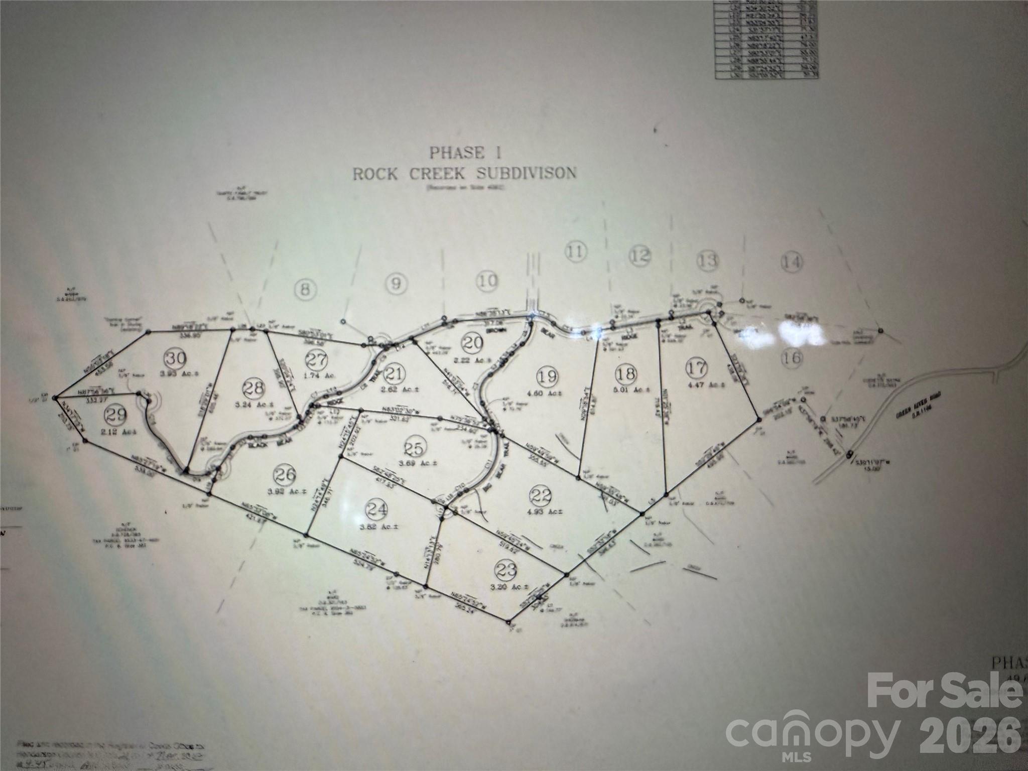 39 Black Bear Ridge Trail Zirconia NC 28790