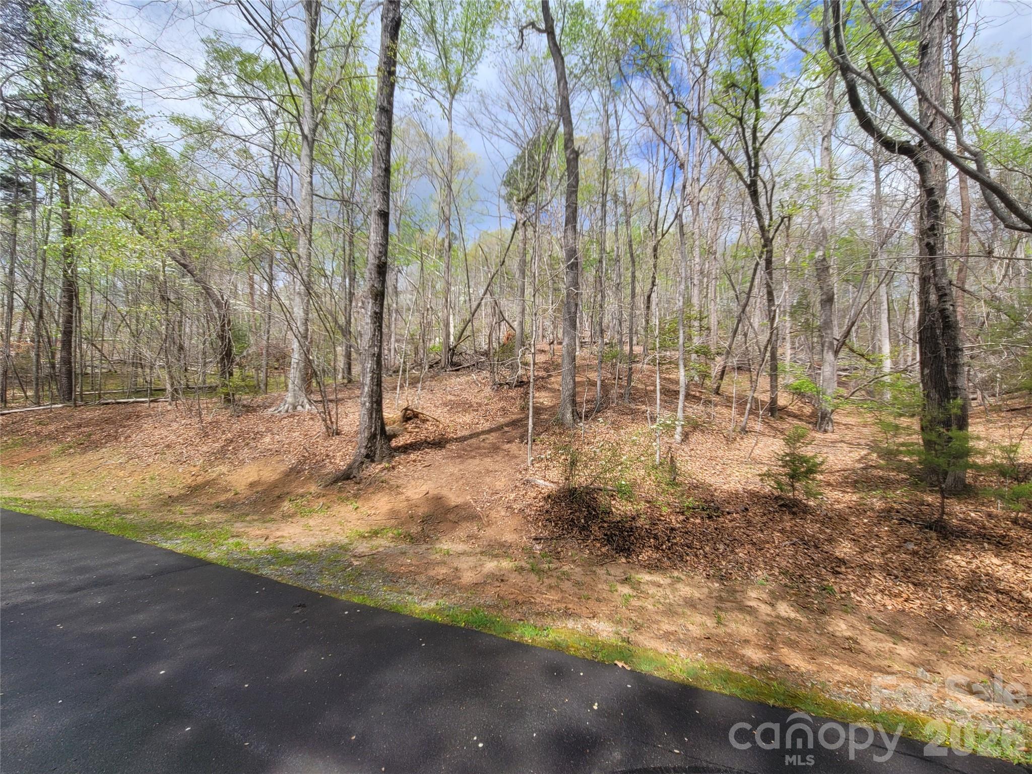 0 Springhill Drive Rutherfordton NC 28139