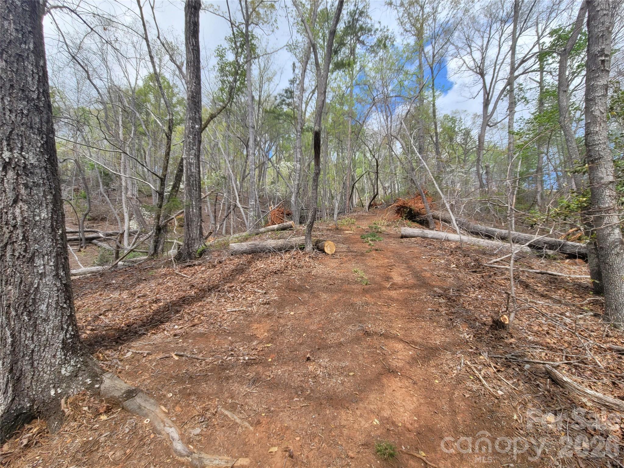 0 Springhill Drive Rutherfordton NC 28139