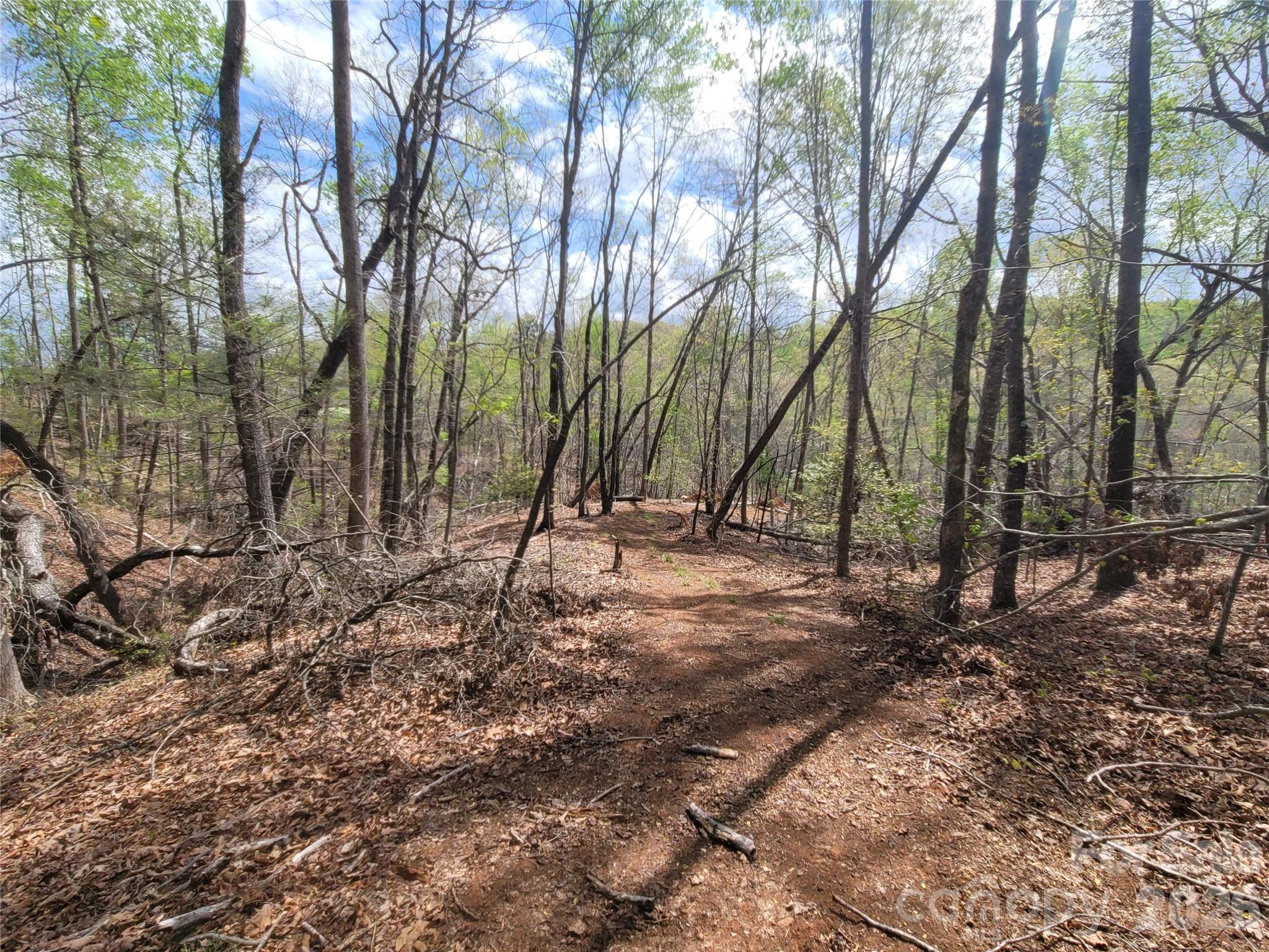 0 Springhill Drive Rutherfordton NC 28139
