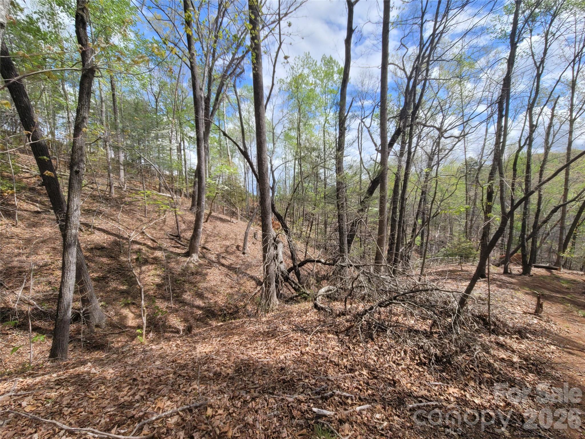 0 Springhill Drive Rutherfordton NC 28139