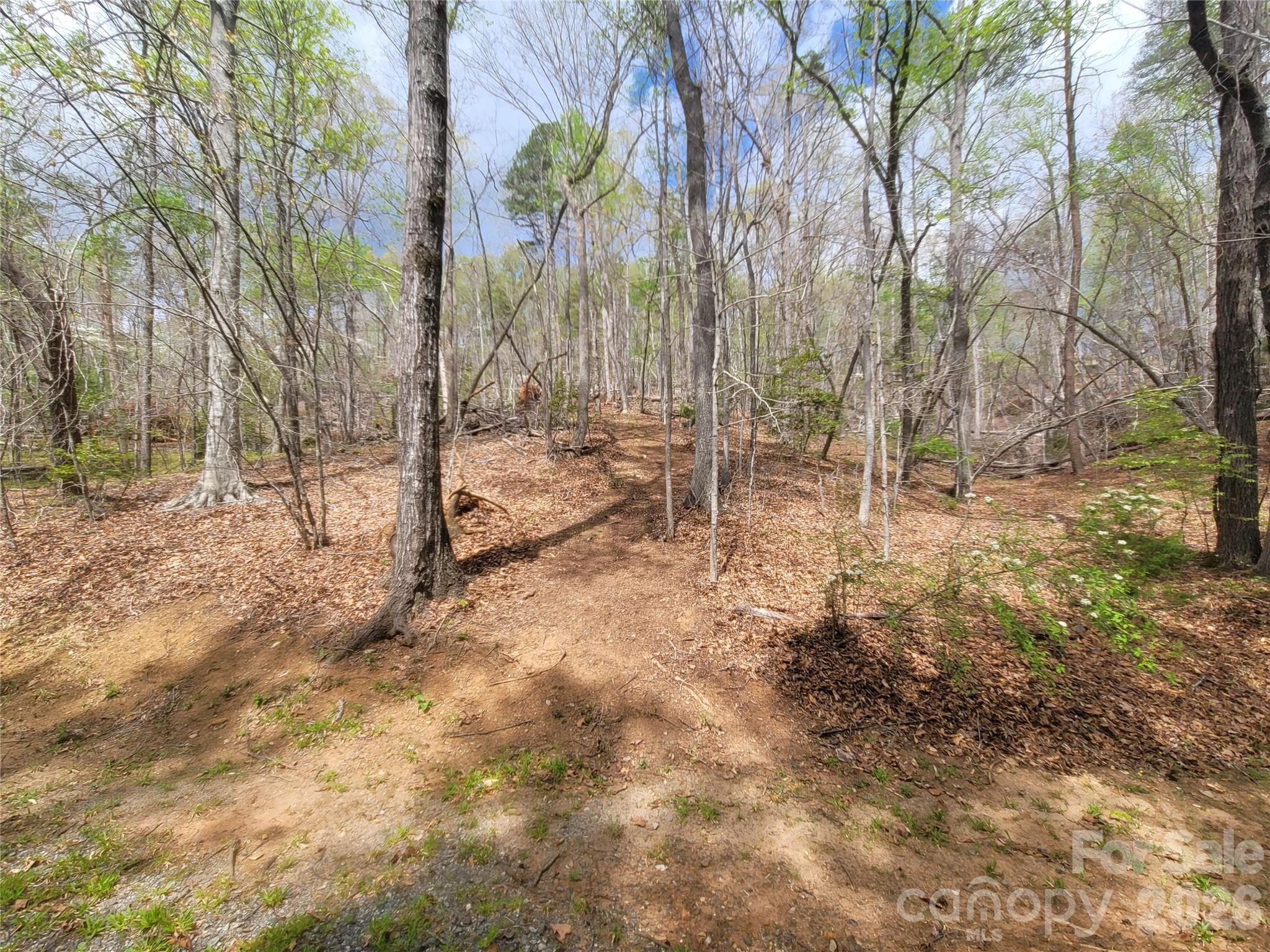 0 Springhill Drive Rutherfordton NC 28139