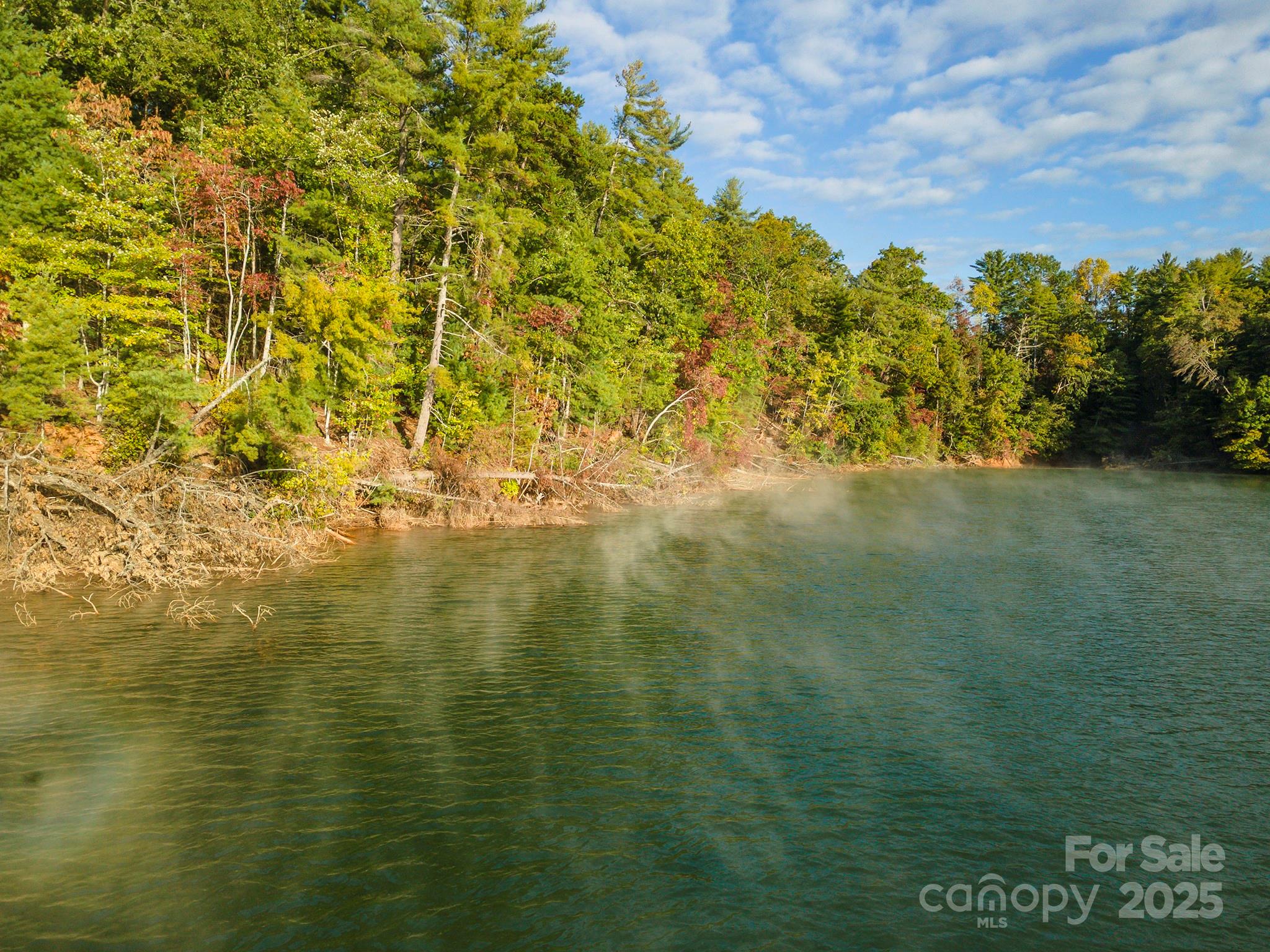 1439 Camp Firestone Drive Nebo NC 28761