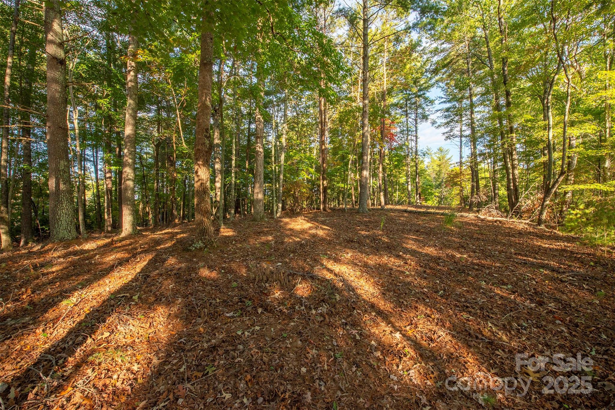 1439 Camp Firestone Drive Nebo NC 28761