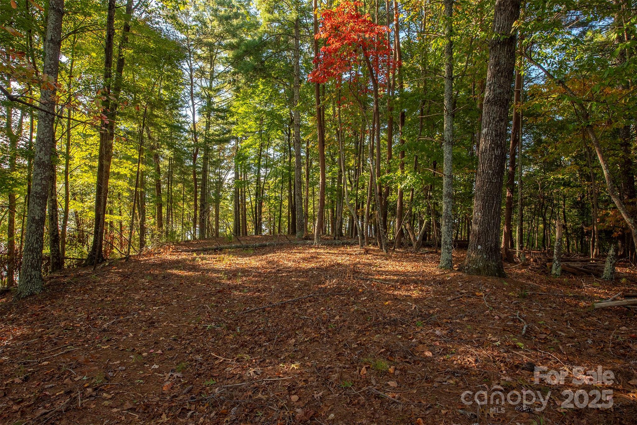 1439 Camp Firestone Drive Nebo NC 28761