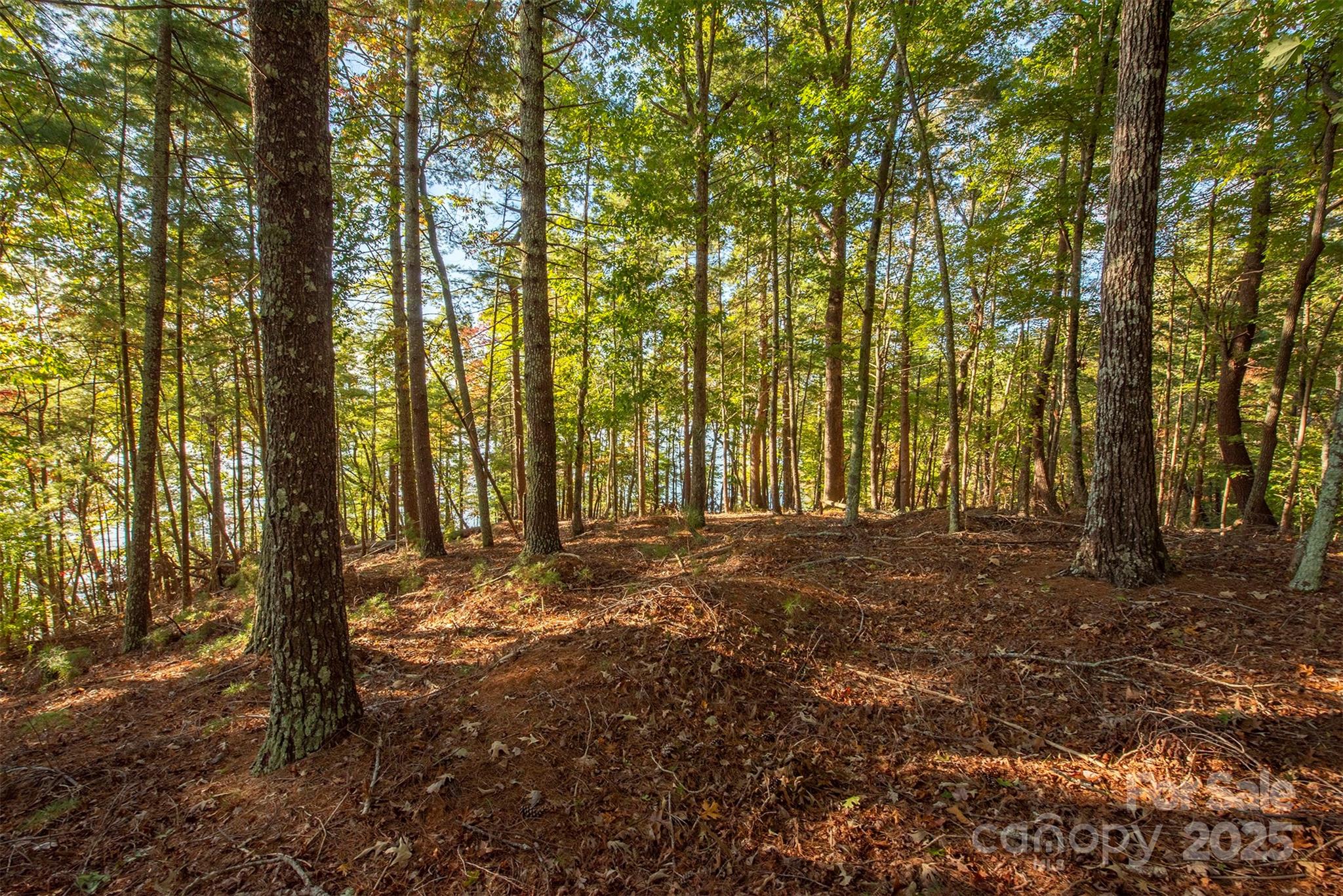 1439 Camp Firestone Drive Nebo NC 28761