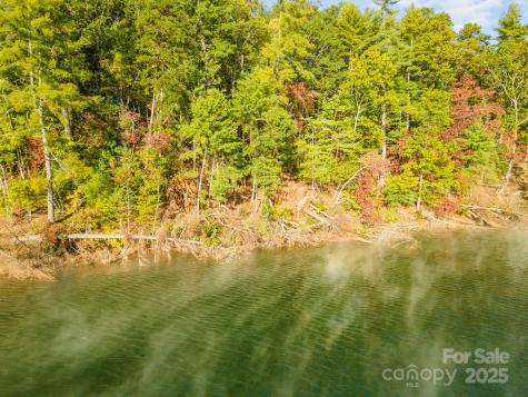 1439 Camp Firestone Drive Nebo NC 28761