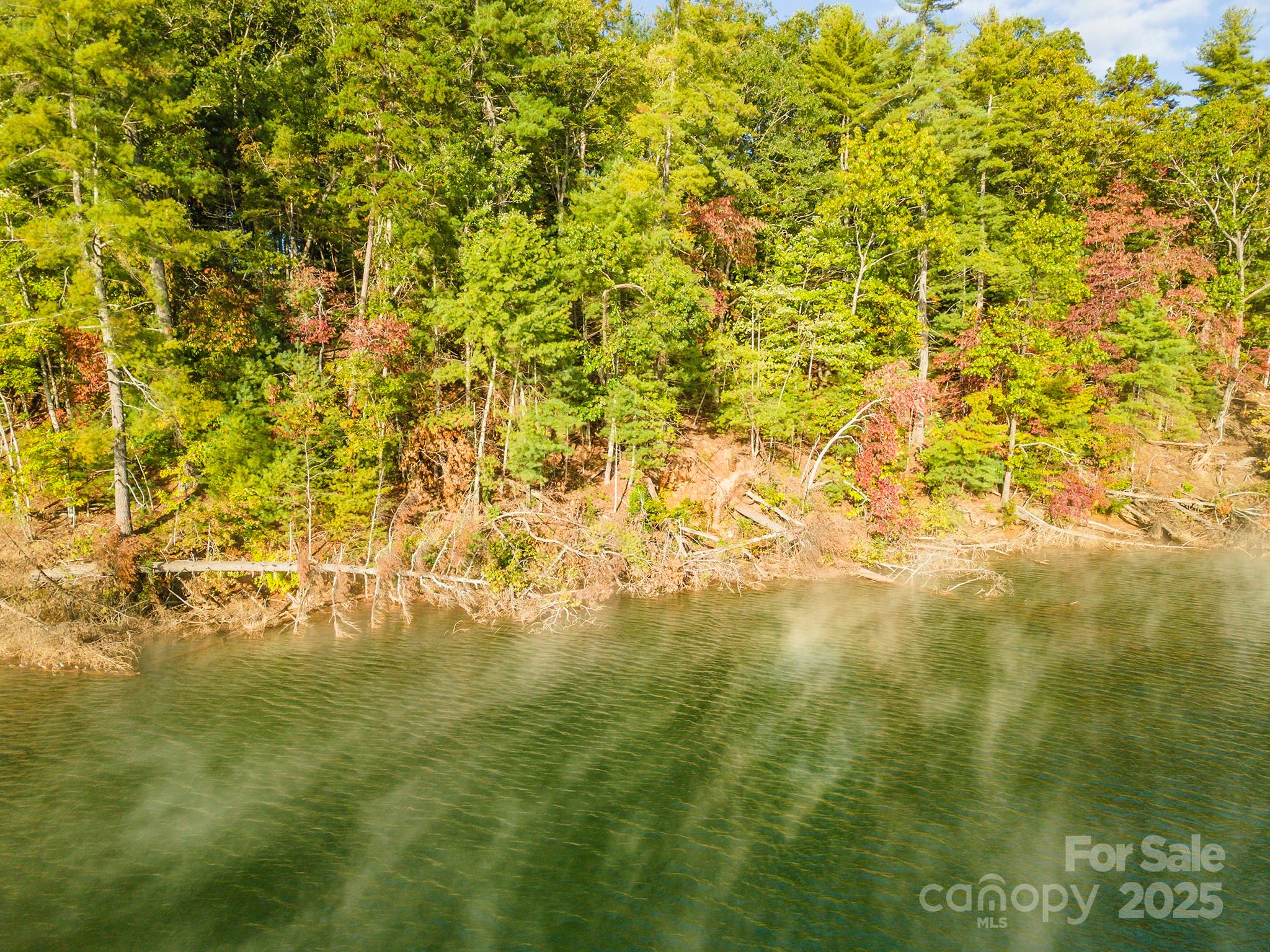 1439 Camp Firestone Drive Nebo NC 28761