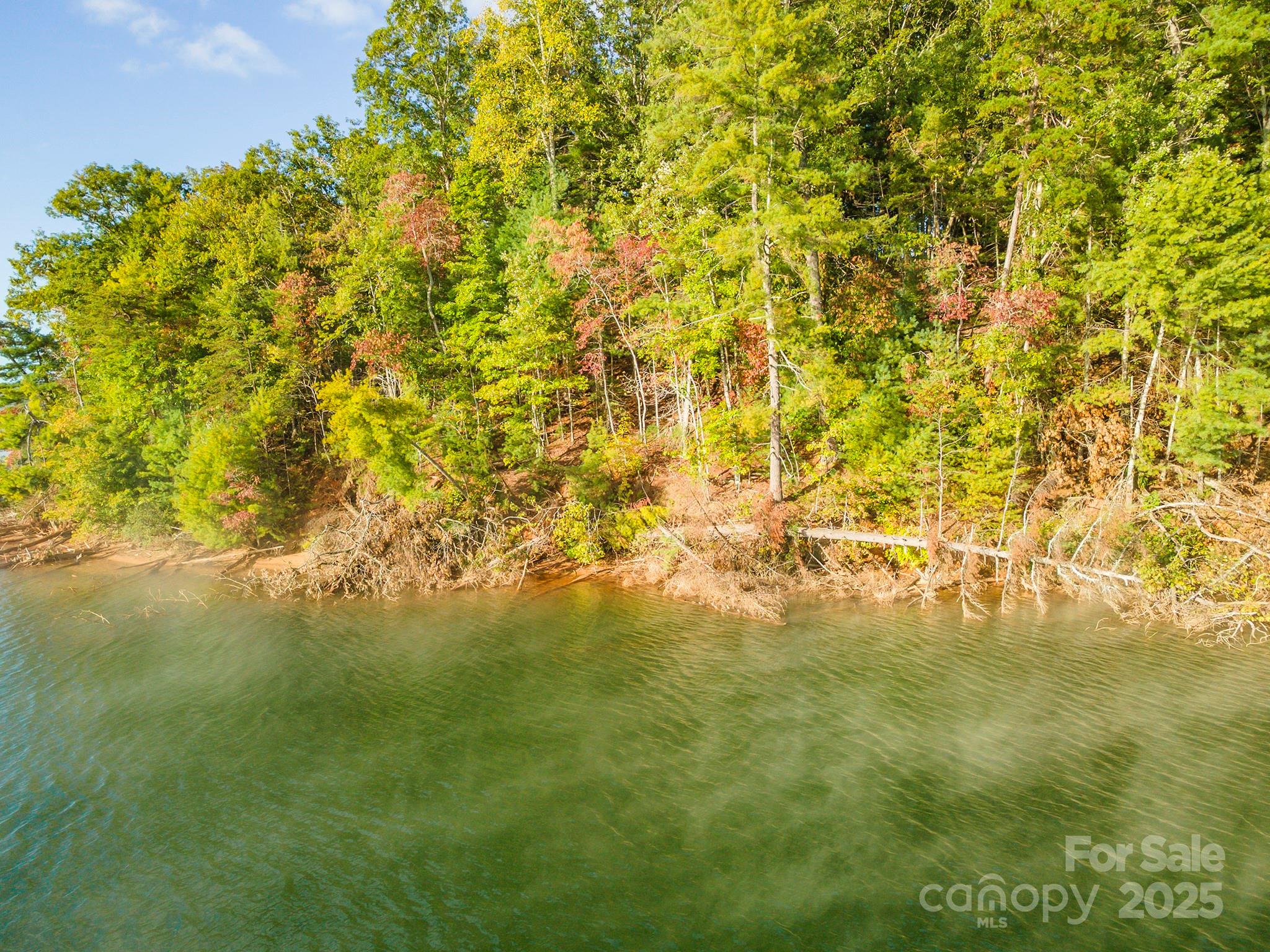 1439 Camp Firestone Drive Nebo NC 28761