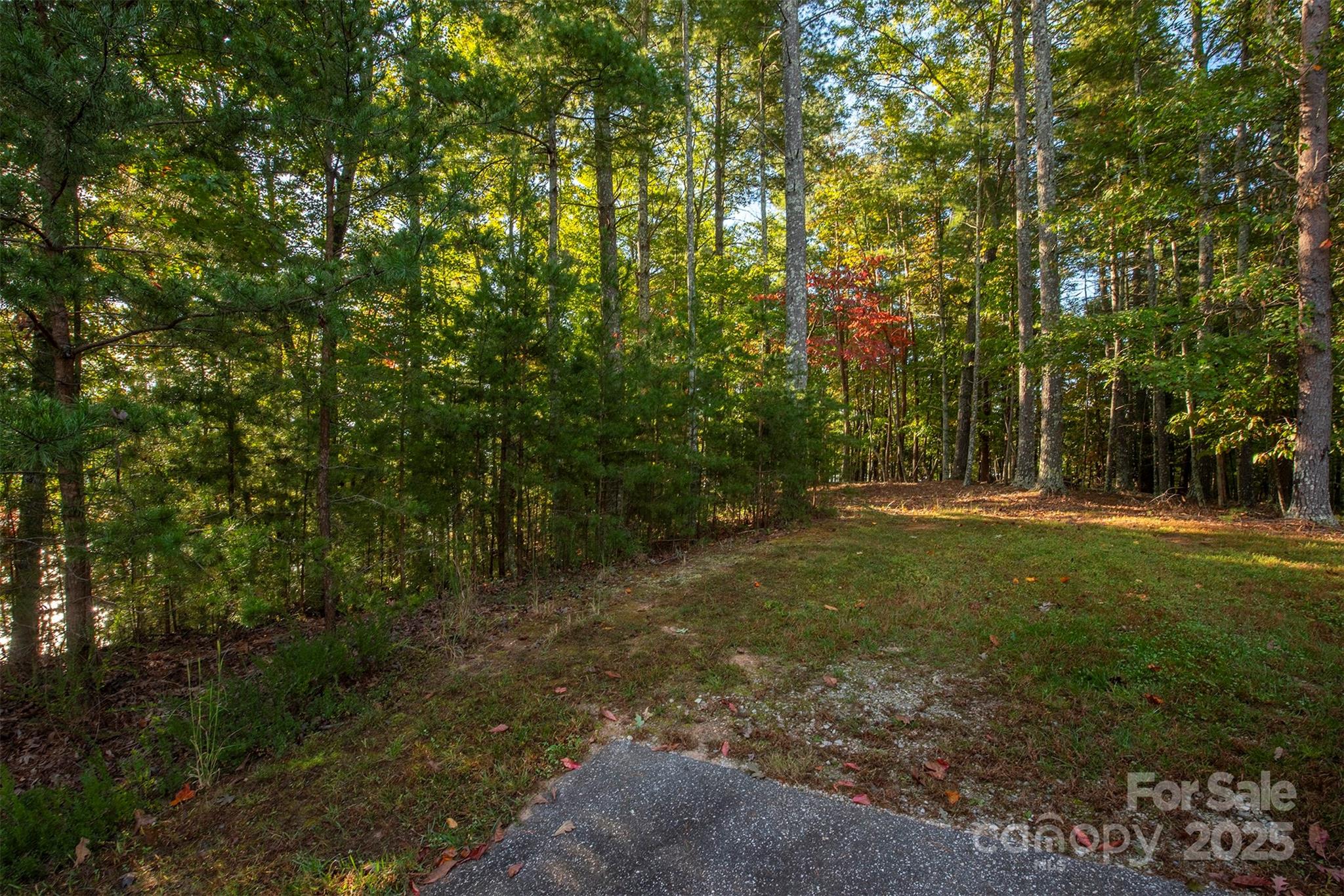 1439 Camp Firestone Drive Nebo NC 28761