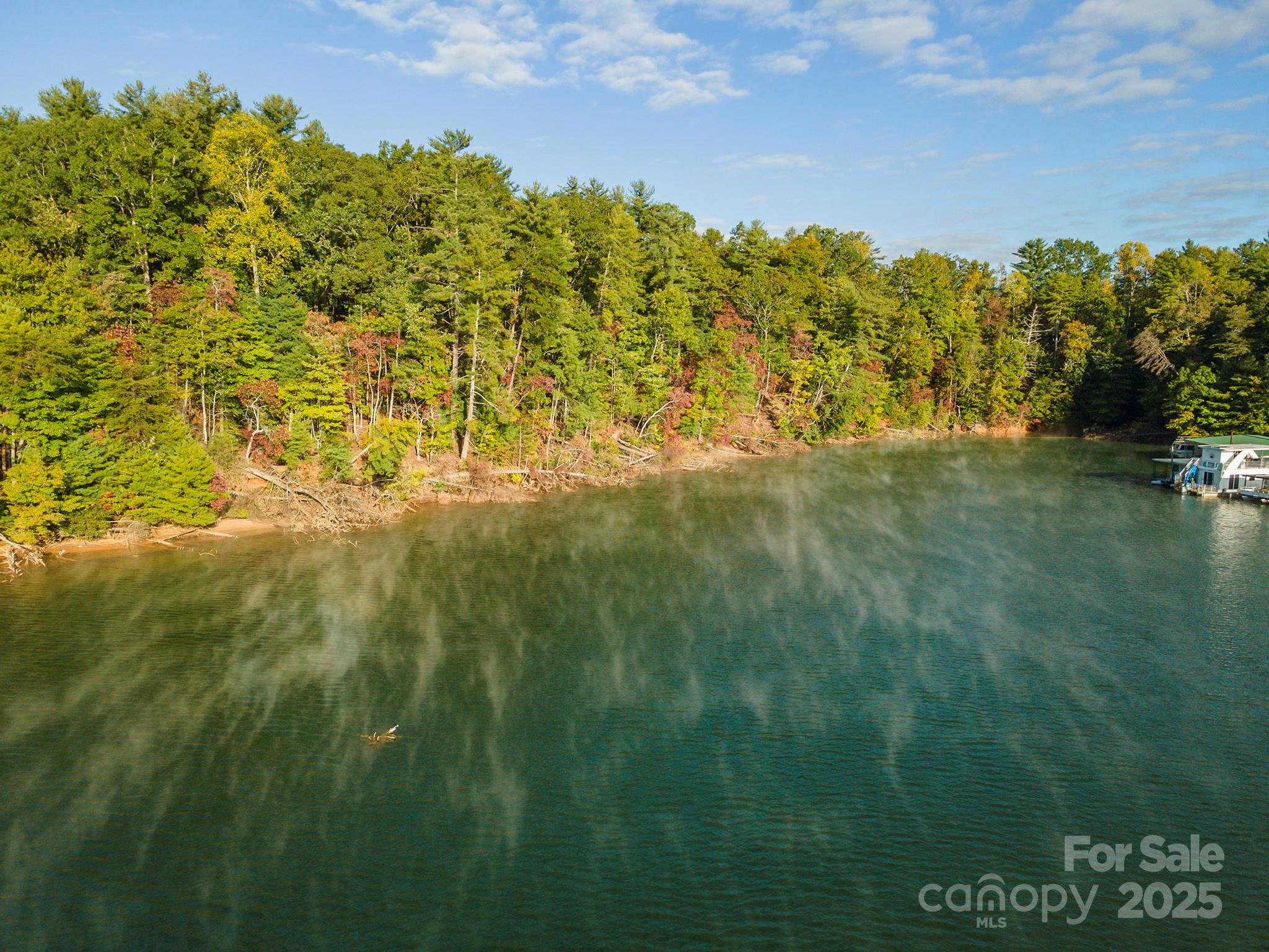 1439 Camp Firestone Drive Nebo NC 28761