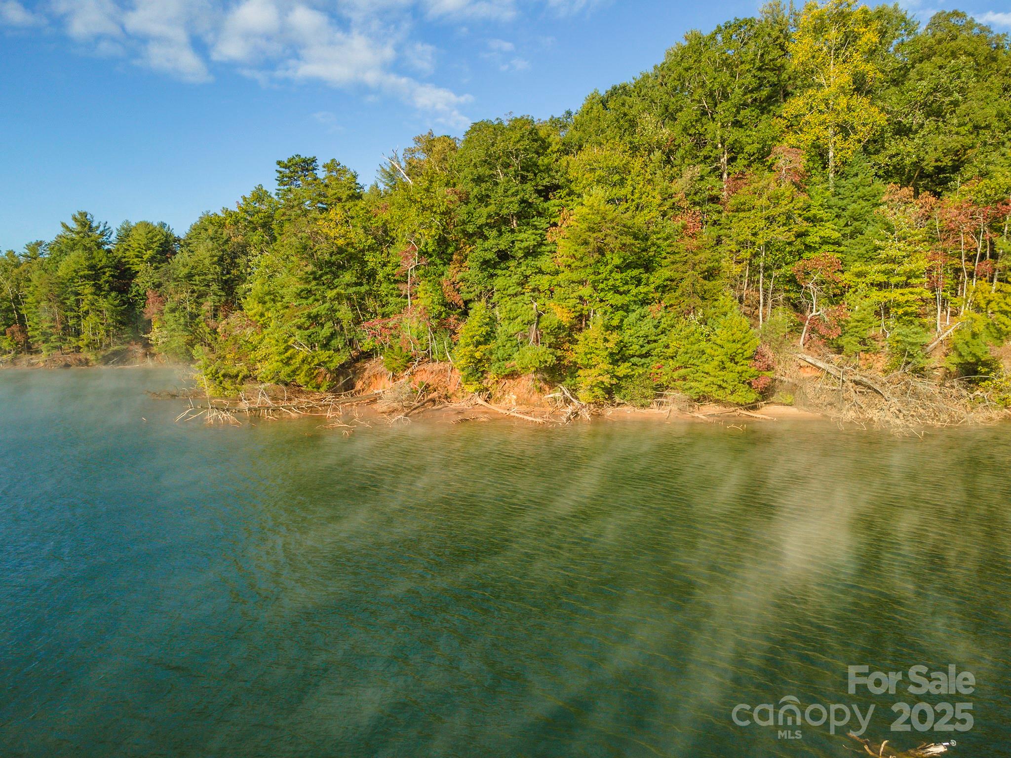 1439 Camp Firestone Drive Nebo NC 28761