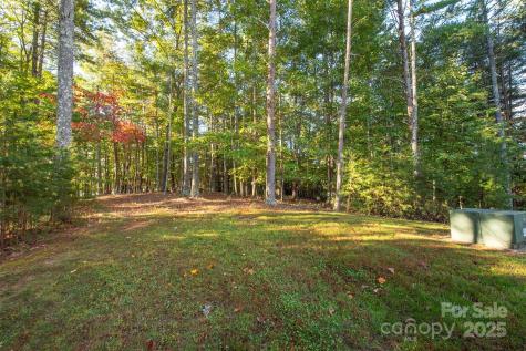 1439 Camp Firestone Drive Nebo NC 28761