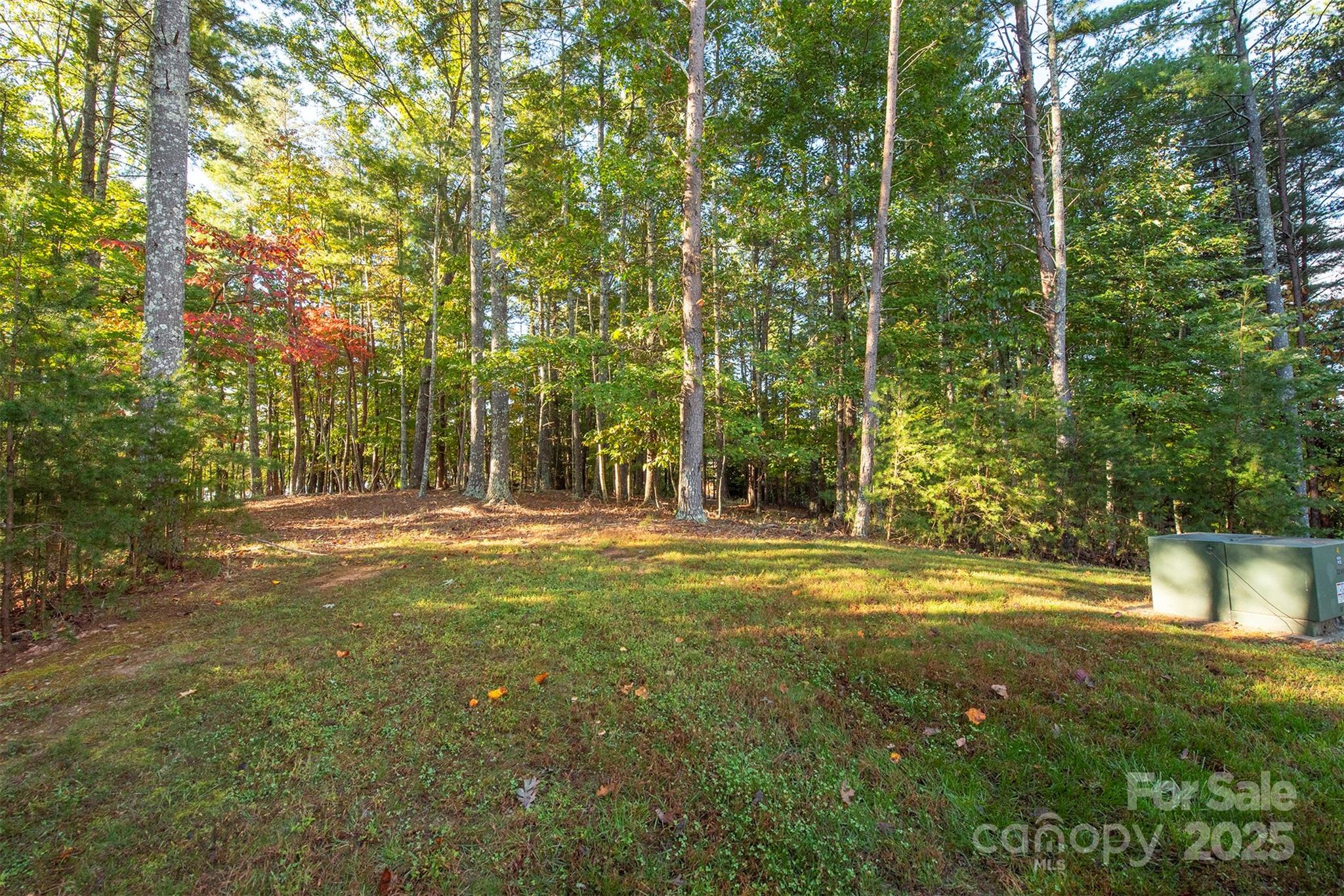 1439 Camp Firestone Drive Nebo NC 28761