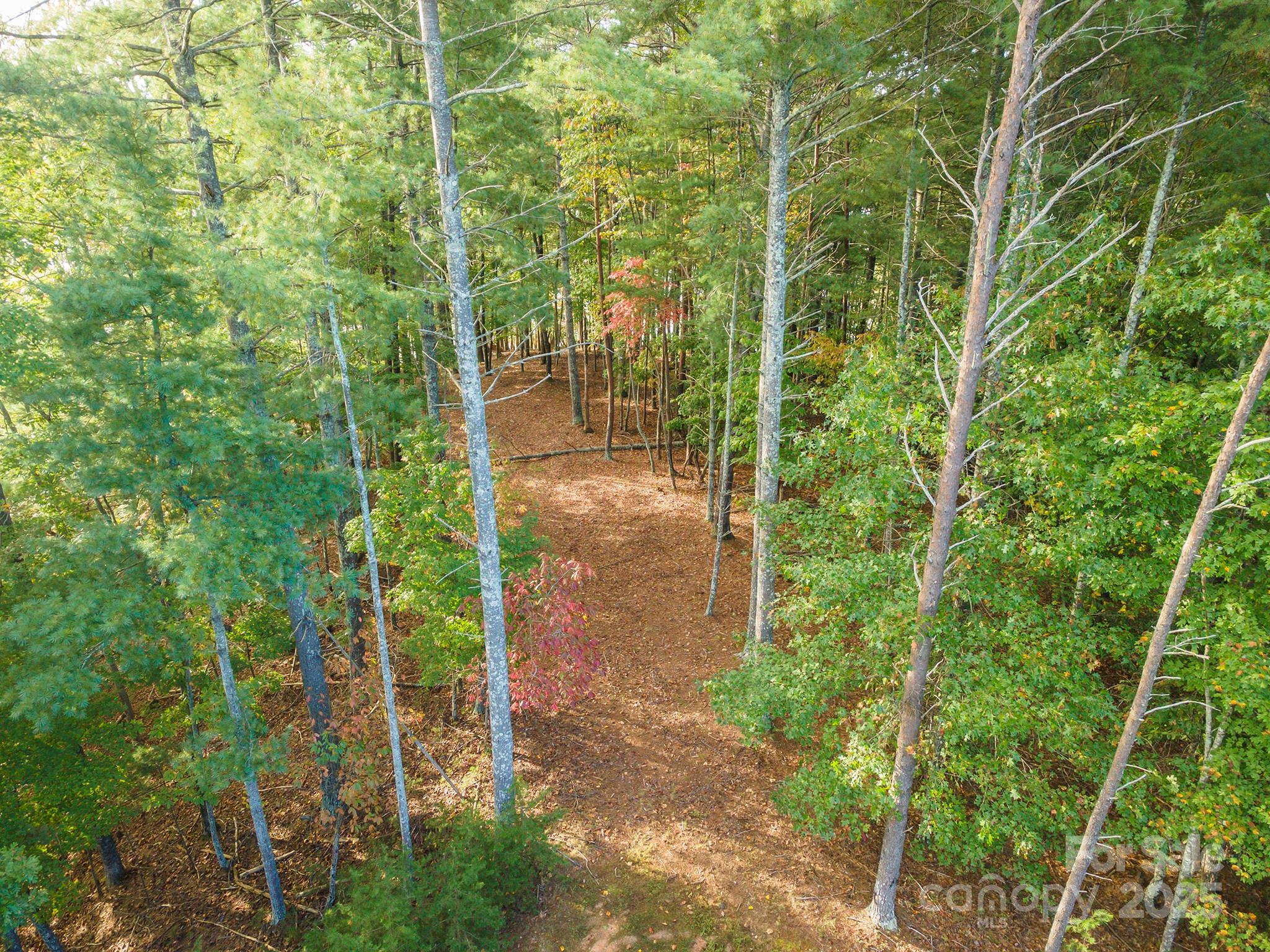 1439 Camp Firestone Drive Nebo NC 28761