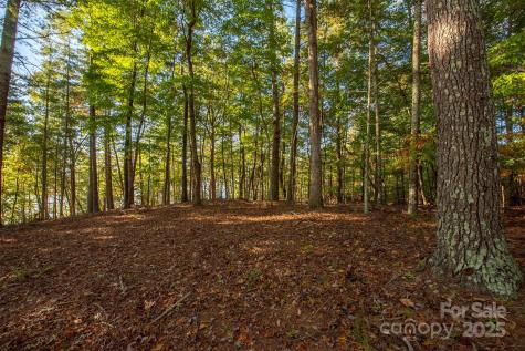 1439 Camp Firestone Drive Nebo NC 28761