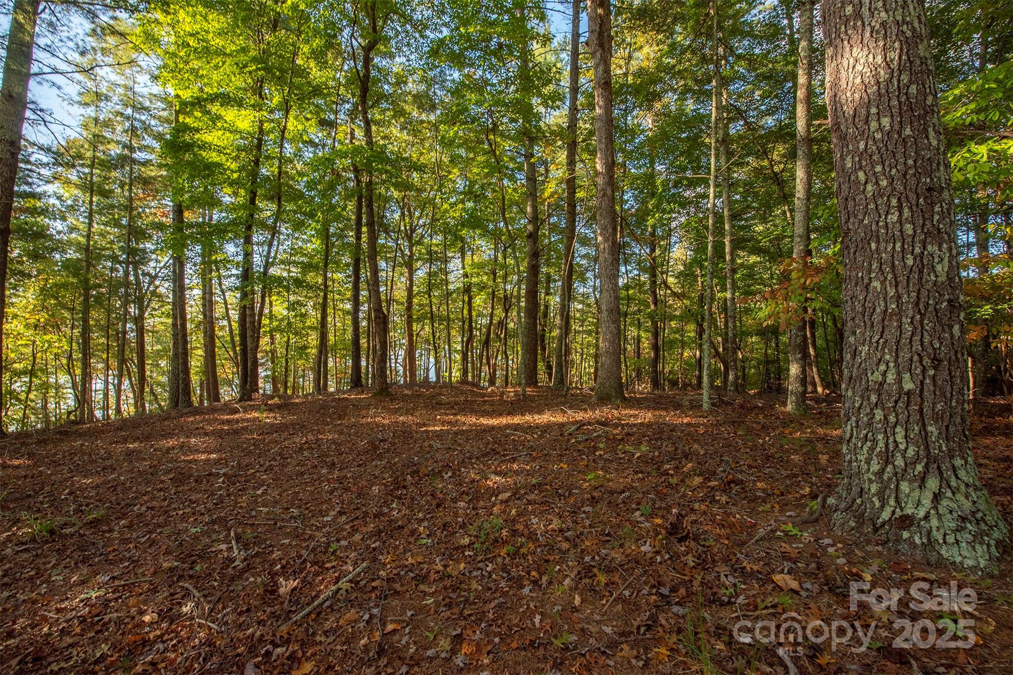 1439 Camp Firestone Drive Nebo NC 28761