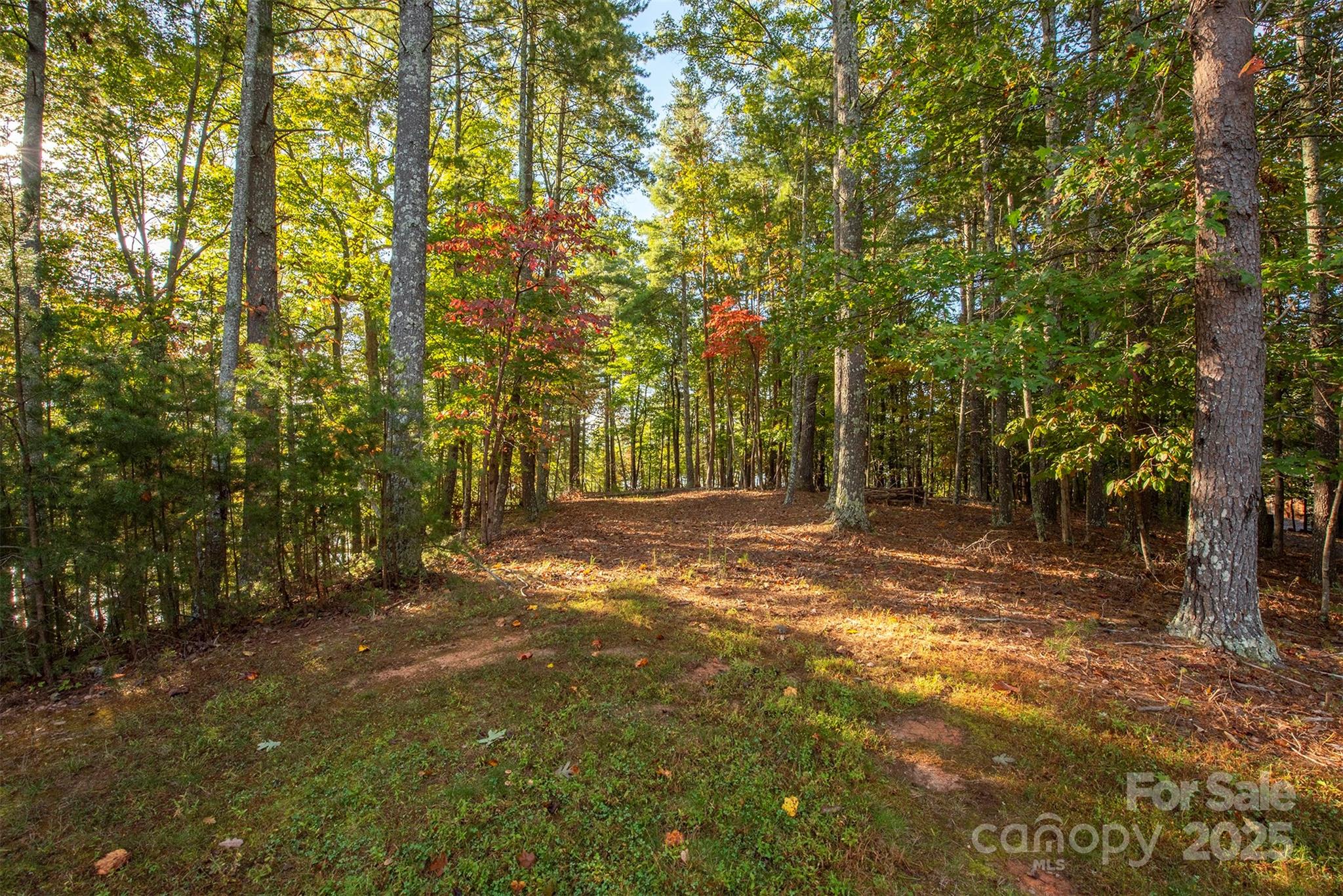 1439 Camp Firestone Drive Nebo NC 28761