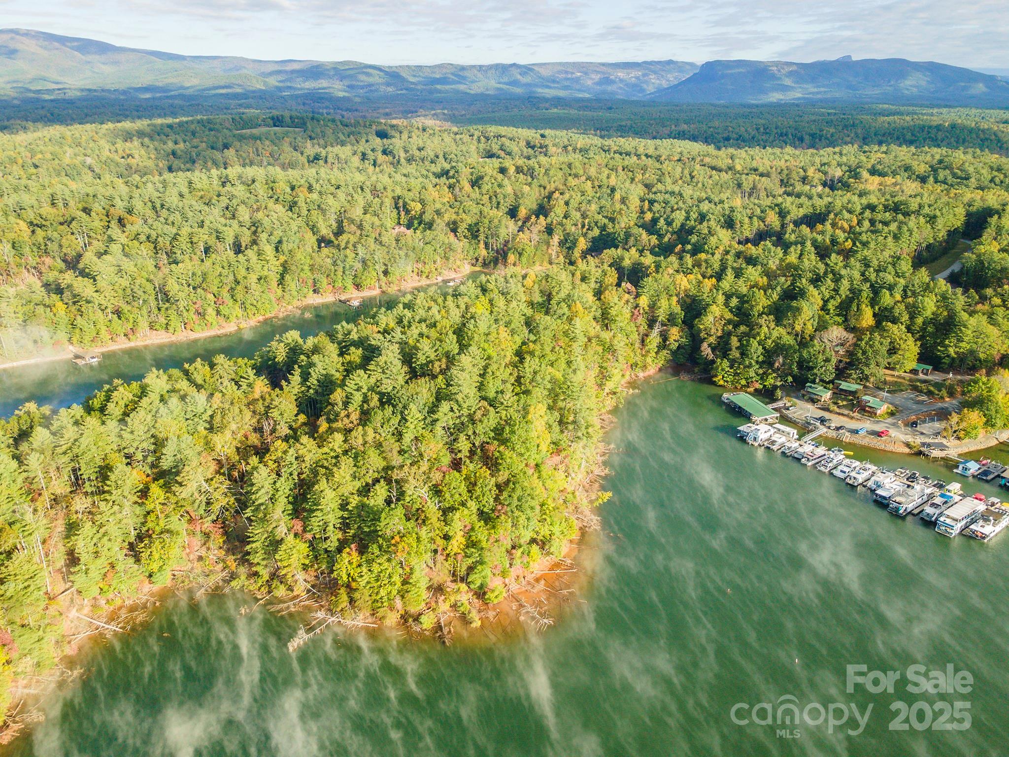 1439 Camp Firestone Drive Nebo NC 28761