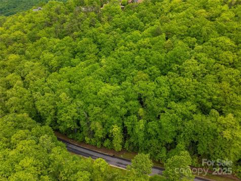 52 Settings Boulevard Black Mountain NC 28711