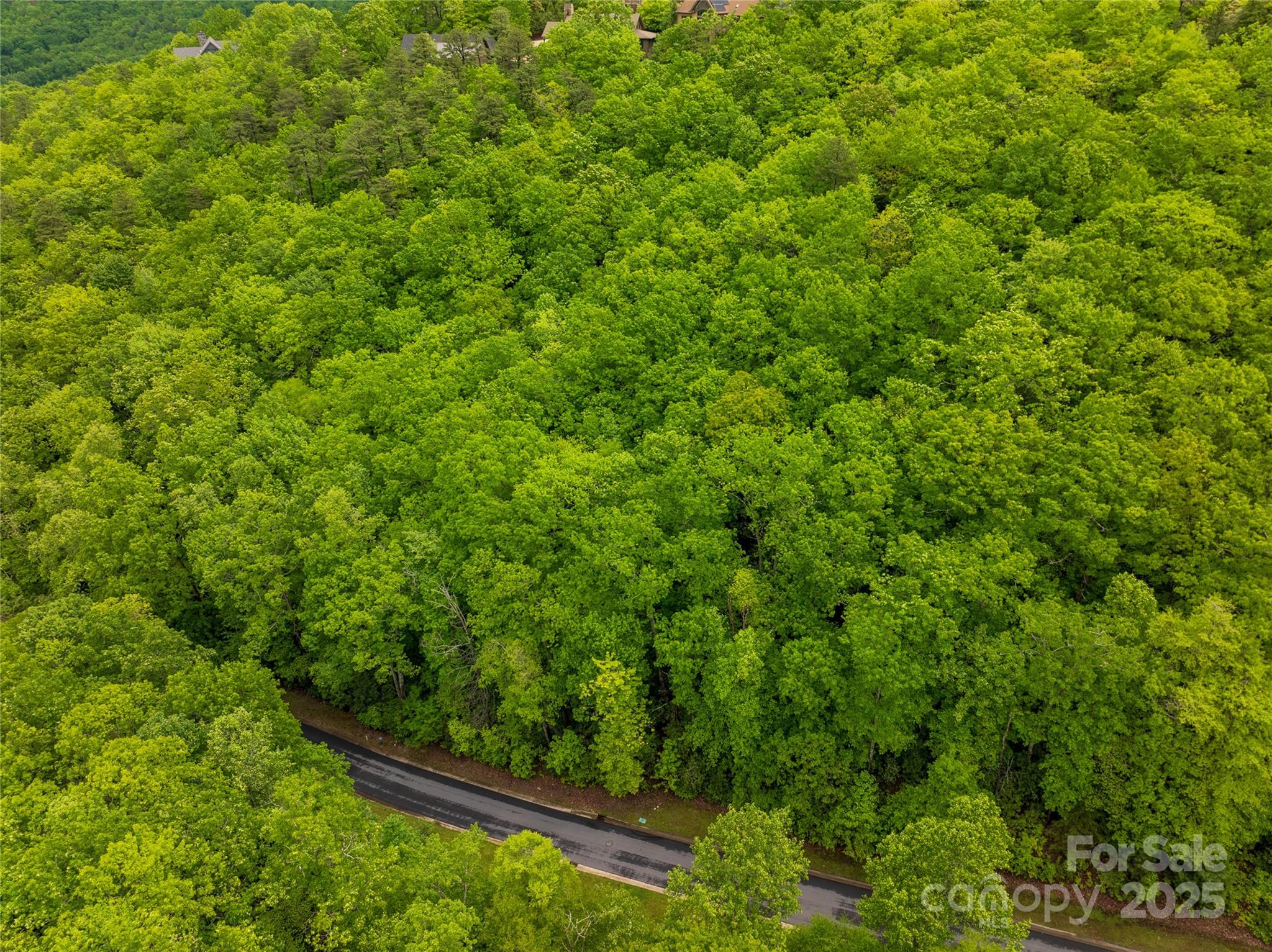 52 Settings Boulevard Black Mountain NC 28711