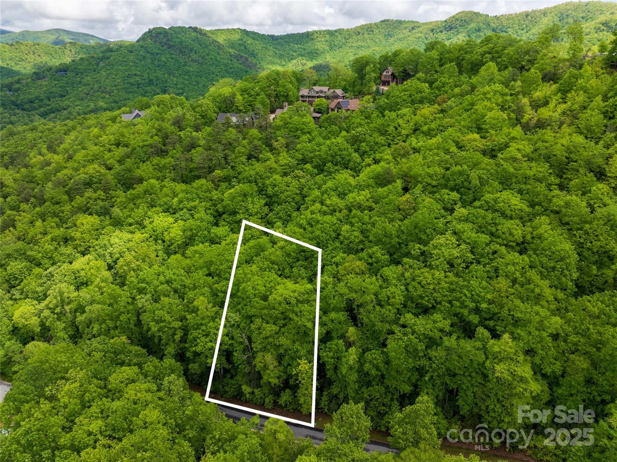 52 Settings Boulevard Black Mountain NC 28711