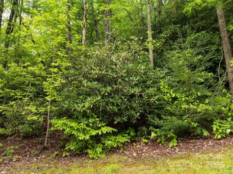 52 Settings Boulevard Black Mountain NC 28711