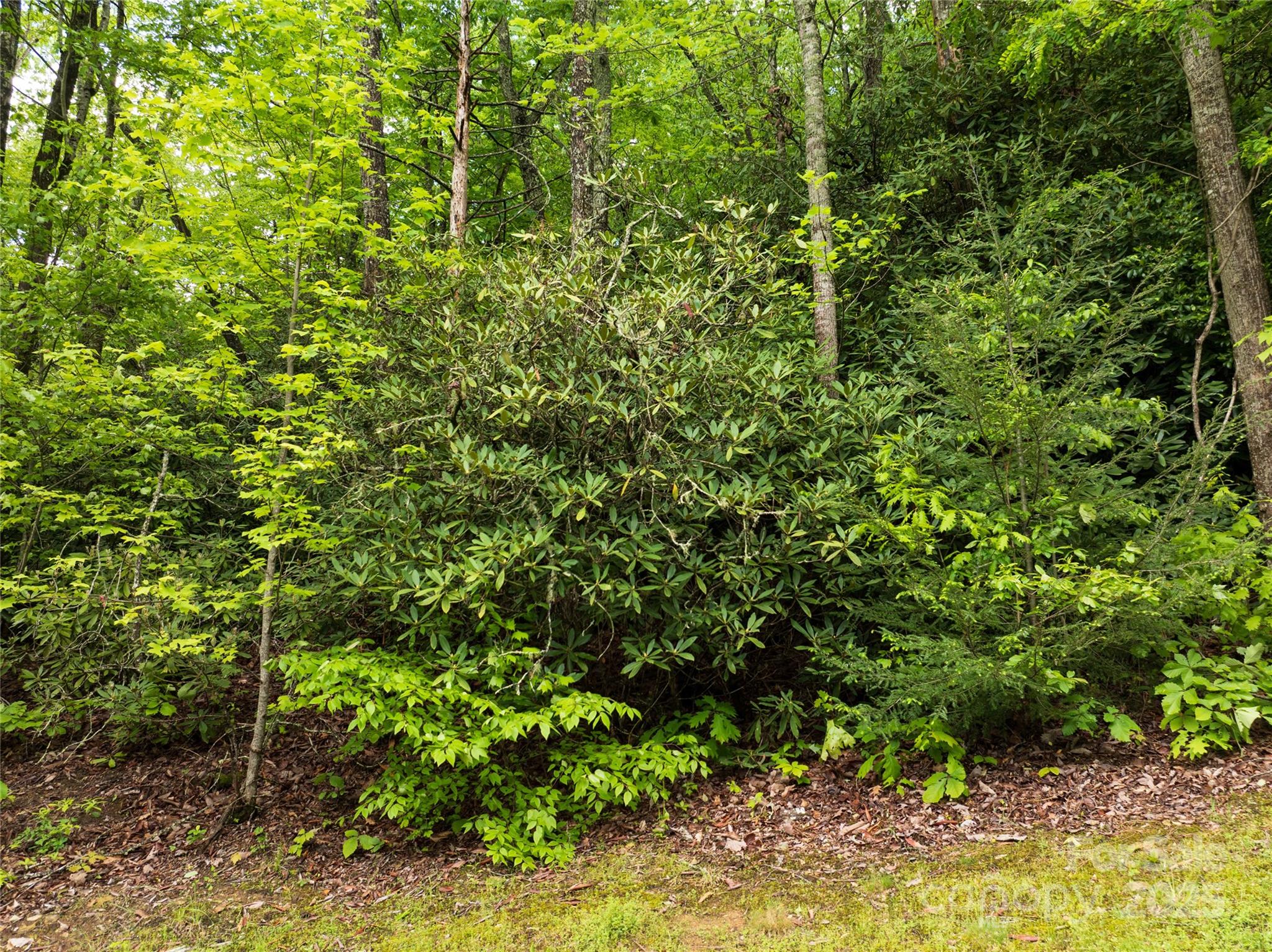52 Settings Boulevard Black Mountain NC 28711