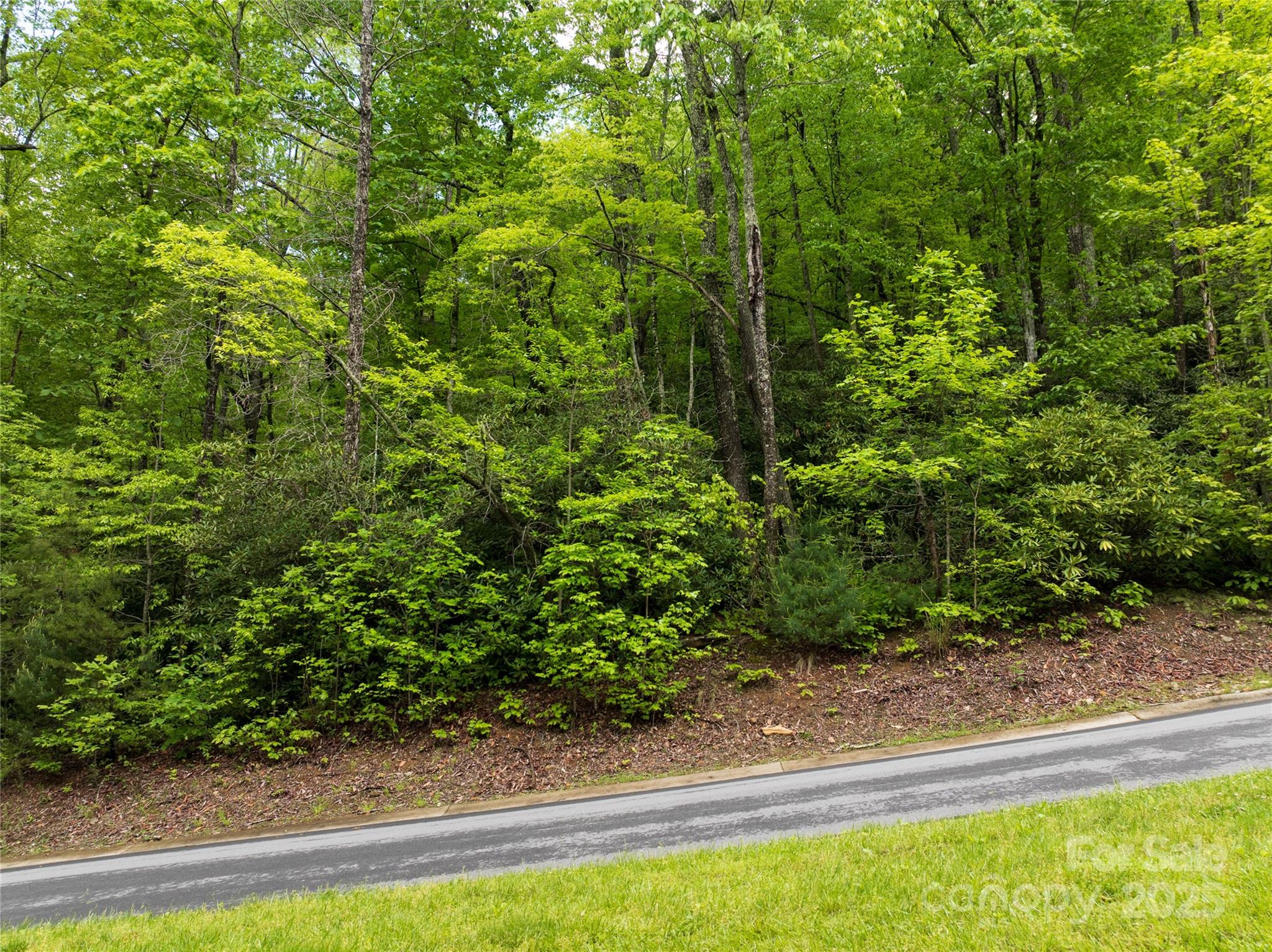 52 Settings Boulevard Black Mountain NC 28711