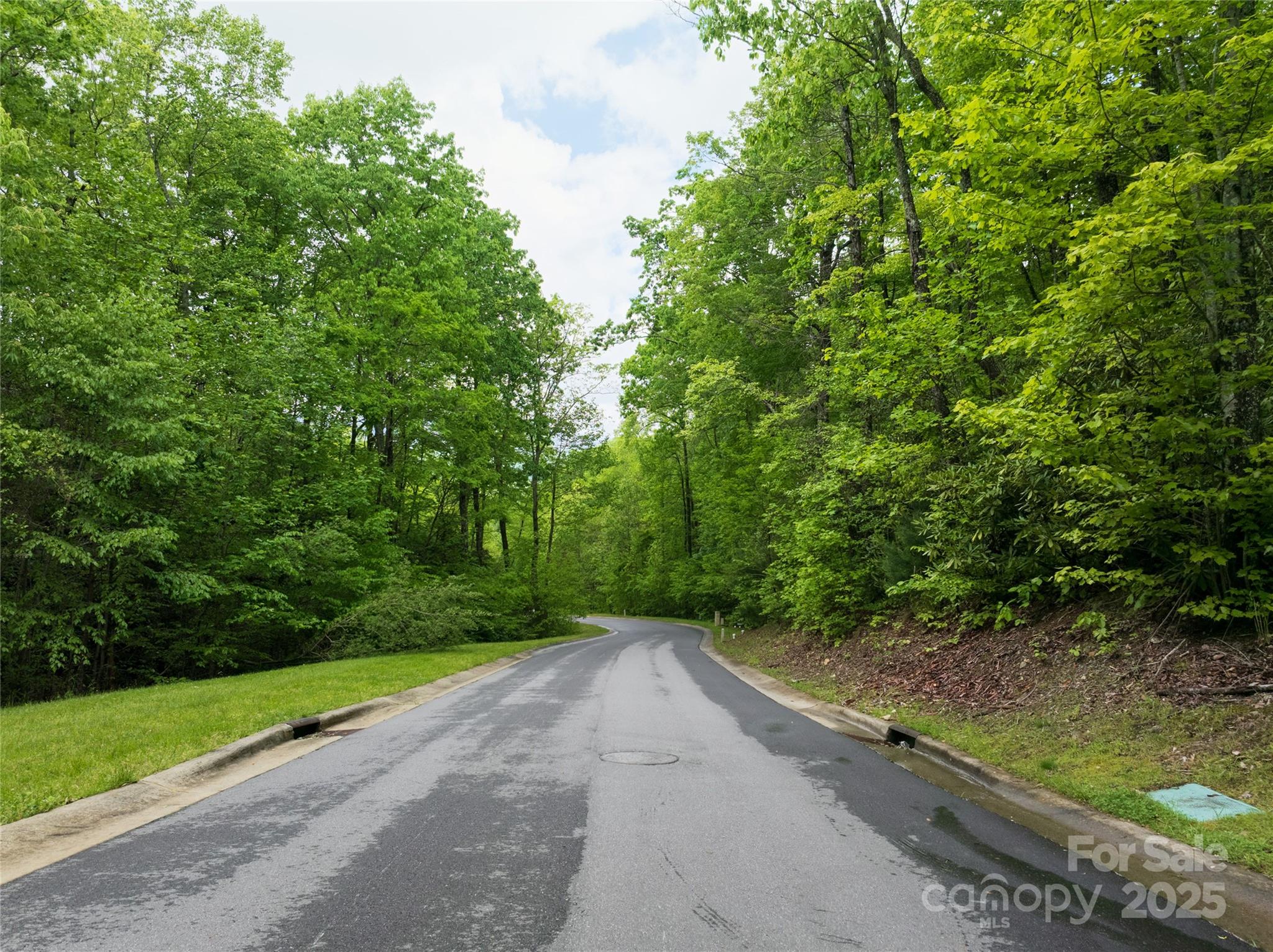 52 Settings Boulevard Black Mountain NC 28711