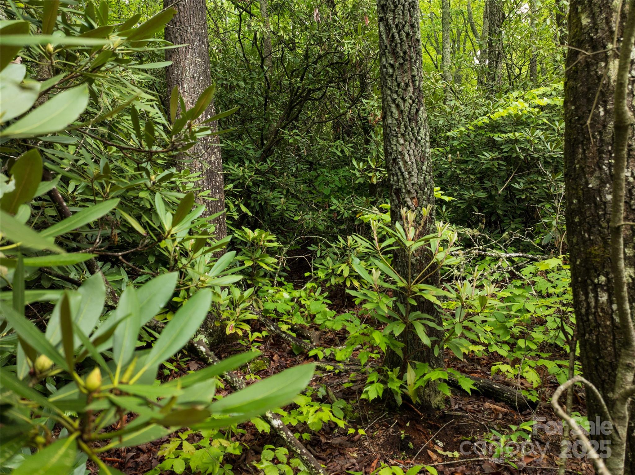 52 Settings Boulevard Black Mountain NC 28711