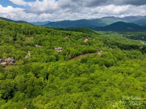 52 Settings Boulevard Black Mountain NC 28711