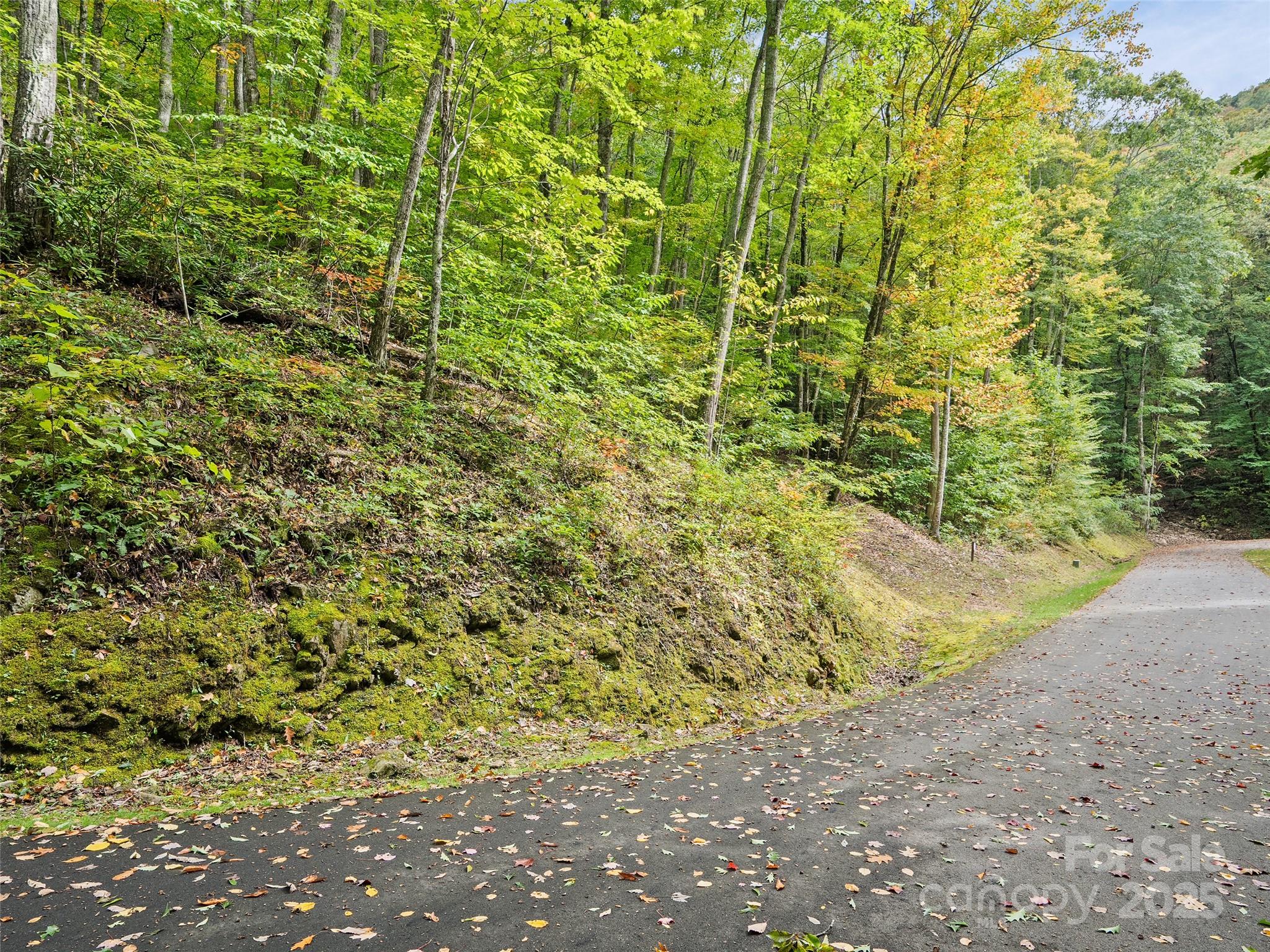 Lot 23 Finlaystone Trace Waynesville NC 28786