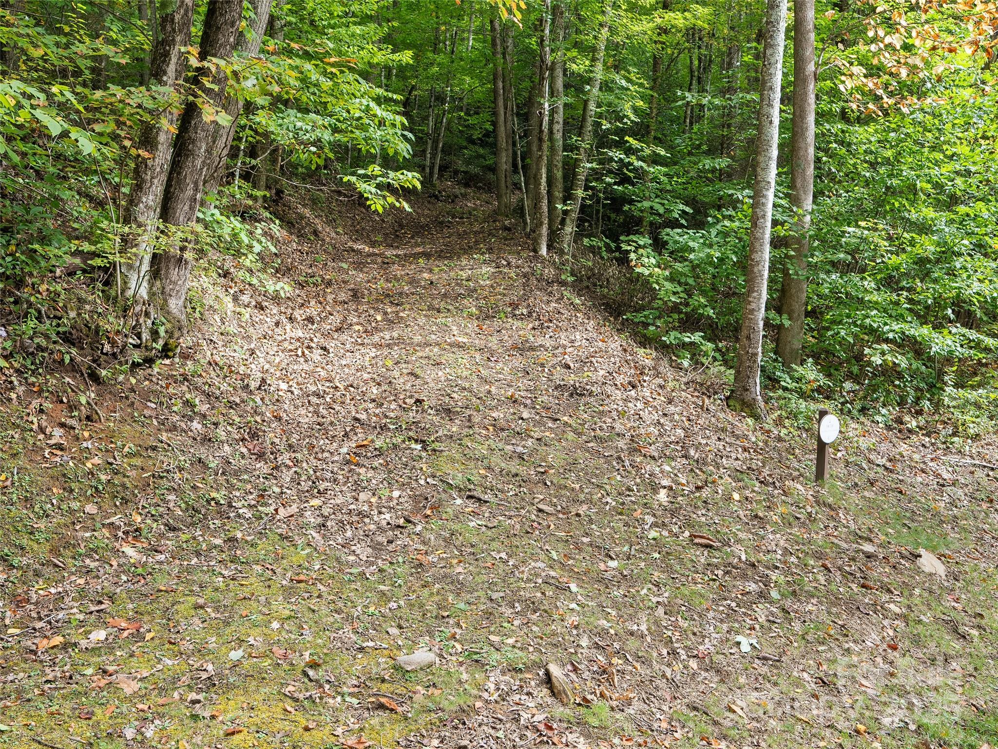 Lot 23 Finlaystone Trace Waynesville NC 28786