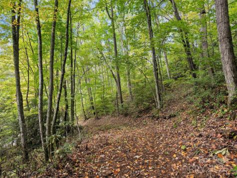 Lot 23 Finlaystone Trace Waynesville NC 28786