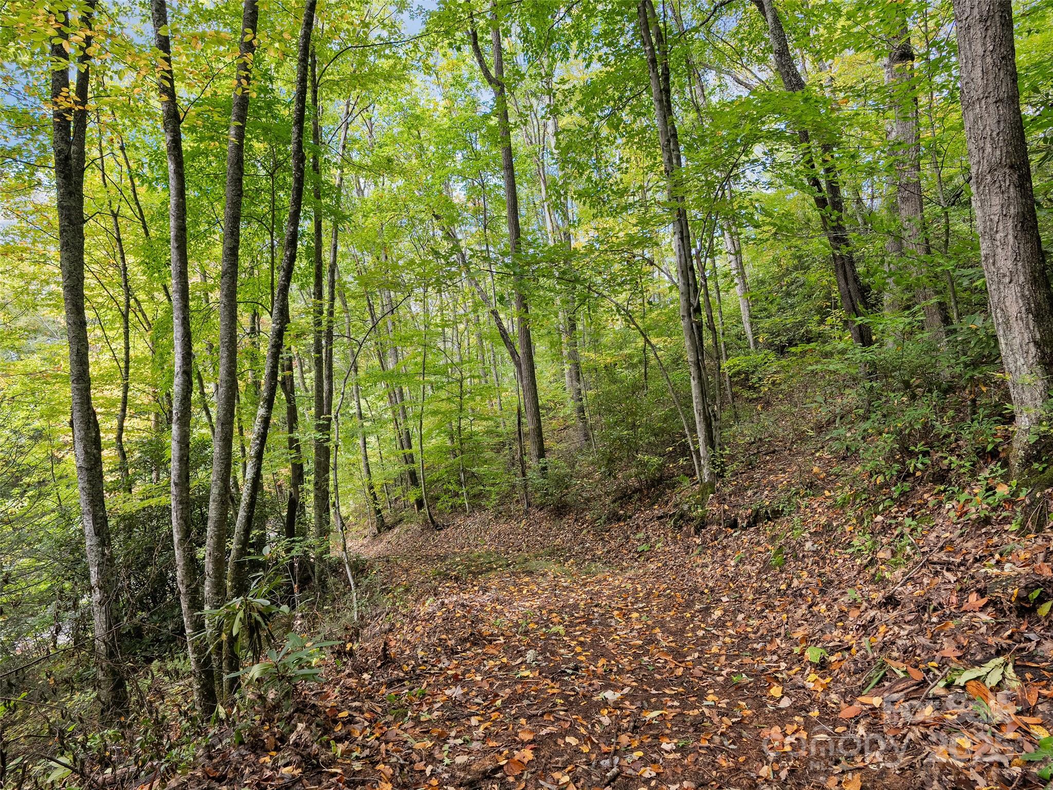 Lot 23 Finlaystone Trace Waynesville NC 28786