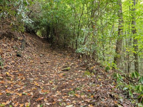 Lot 23 Finlaystone Trace Waynesville NC 28786