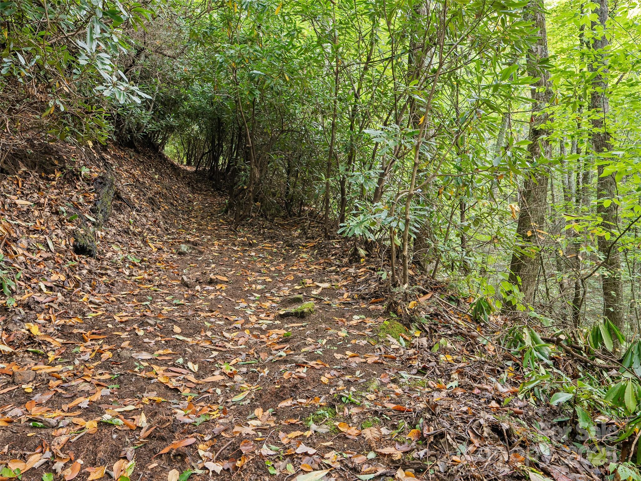 Lot 23 Finlaystone Trace Waynesville NC 28786