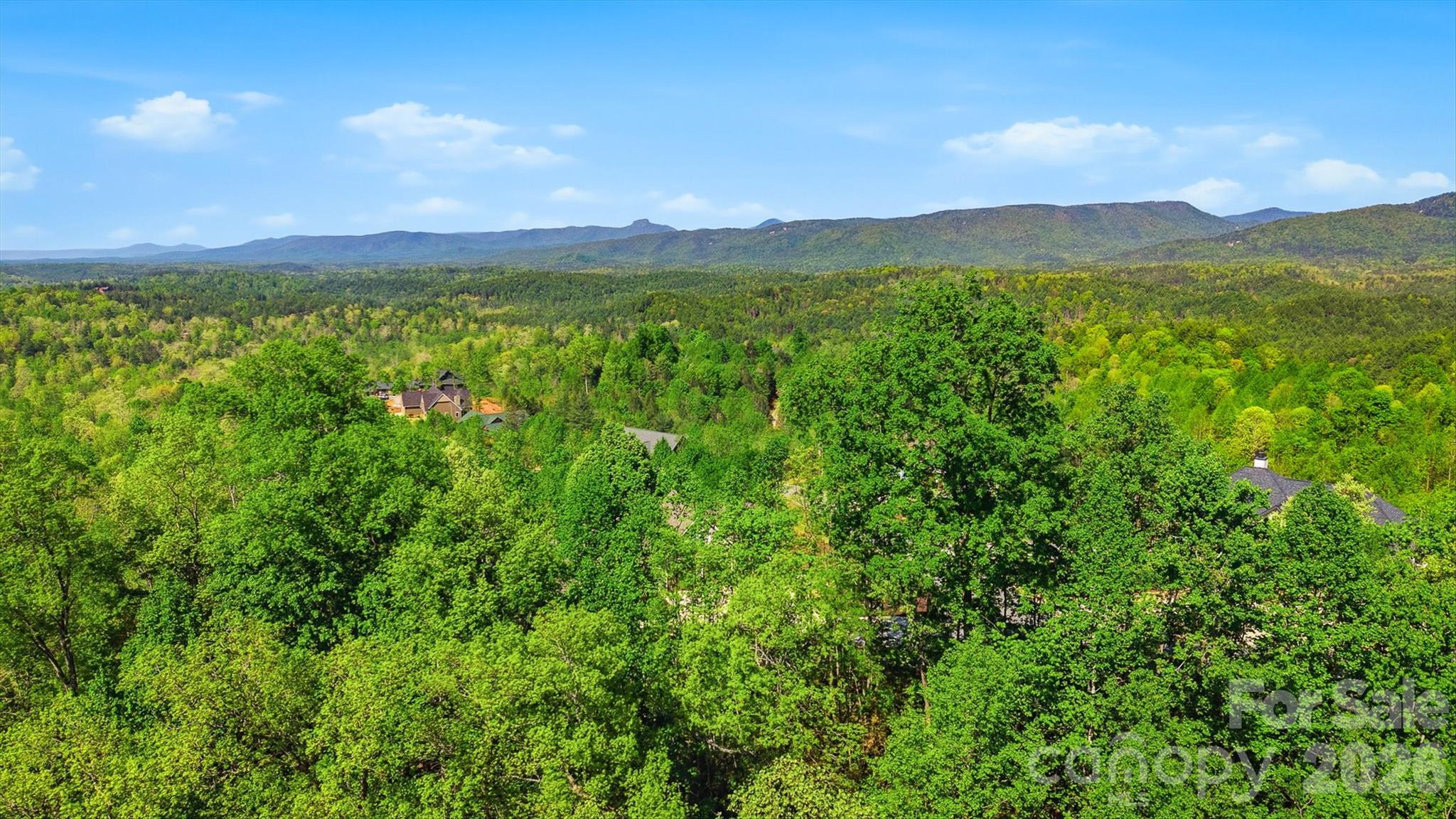 1029 River Club Ridge Lenoir NC 28645