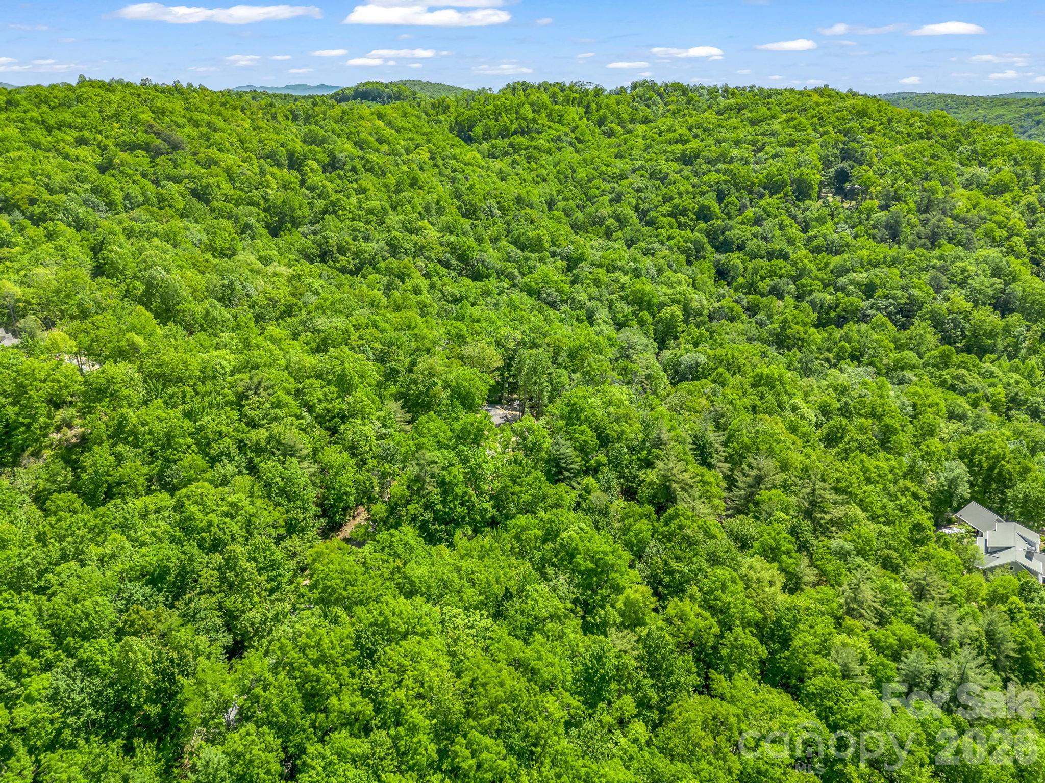 352 Big Hill Road Brevard NC 28712