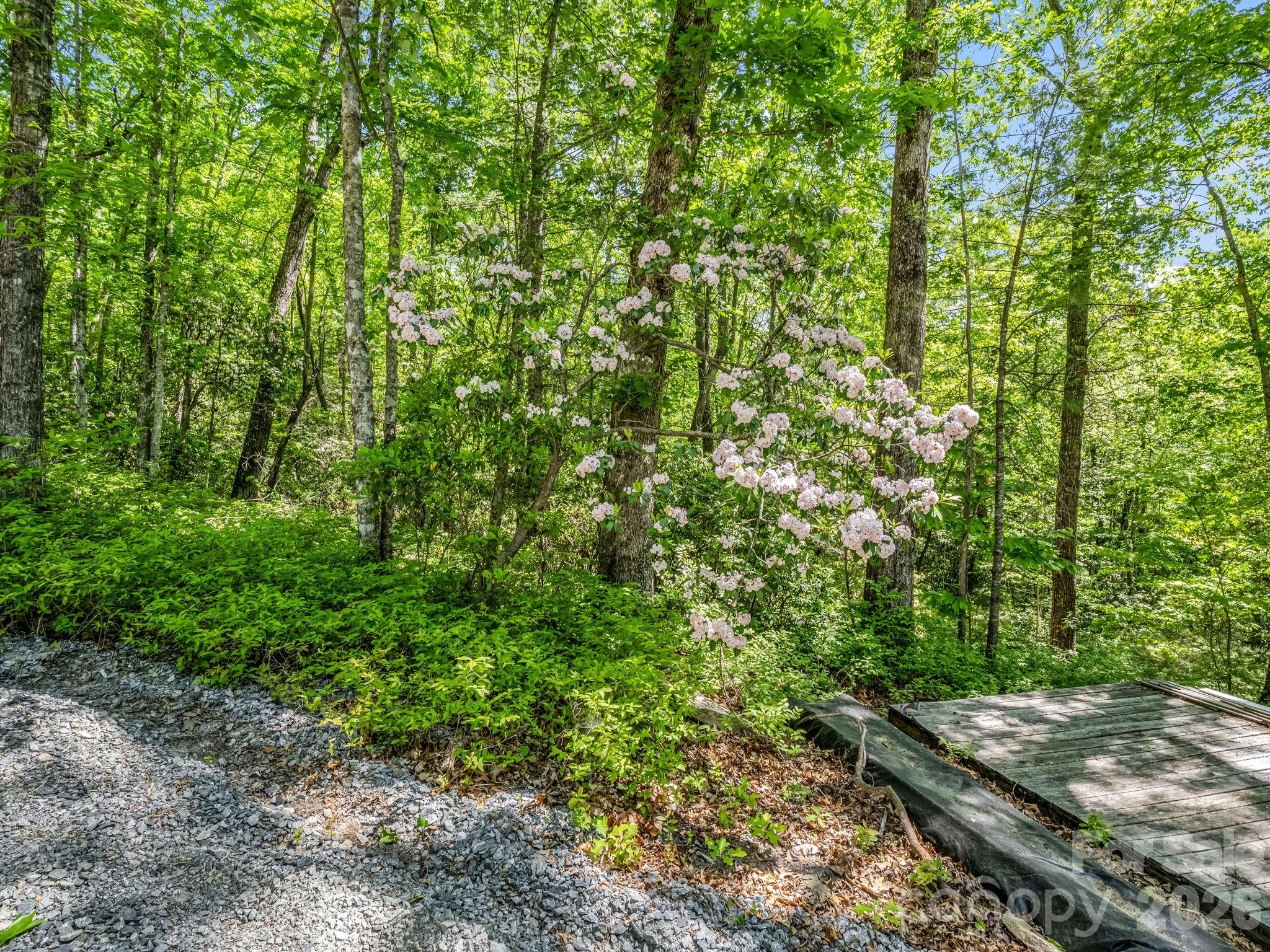 352 Big Hill Road Brevard NC 28712