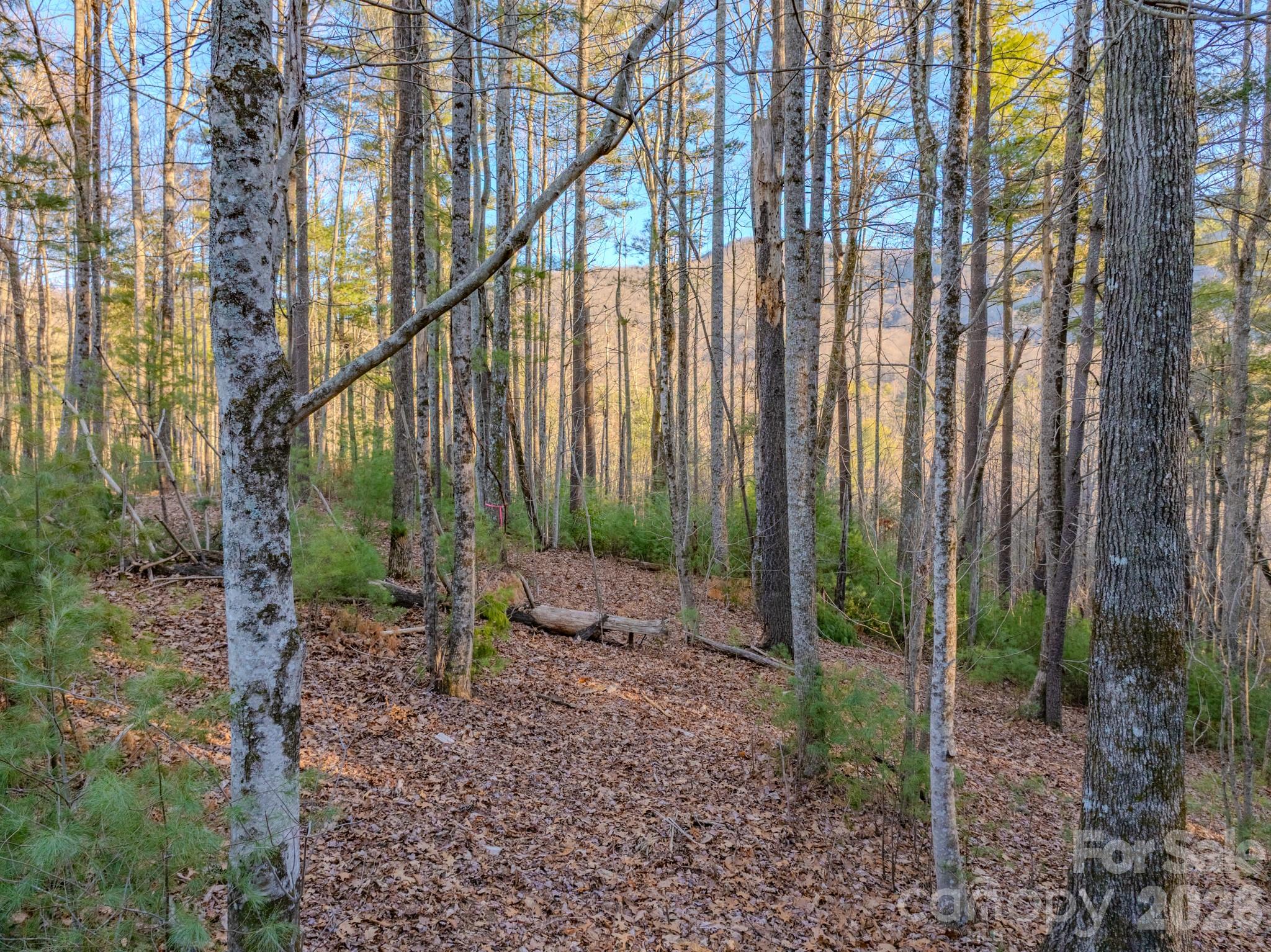 Lots 37 & 38 Settlers Ridge Road Hendersonville NC 28739