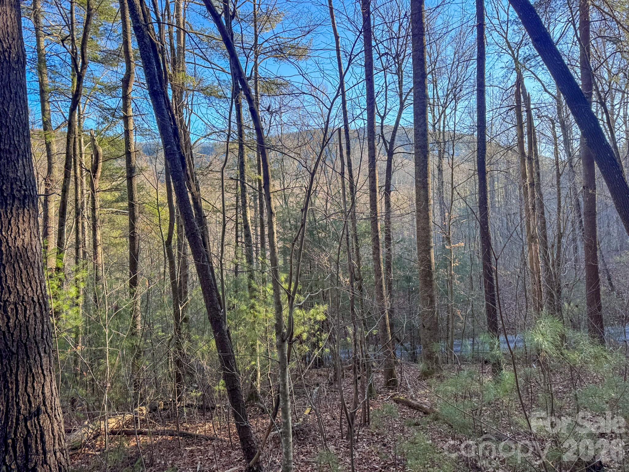 Lots 37 & 38 Settlers Ridge Road Hendersonville NC 28739