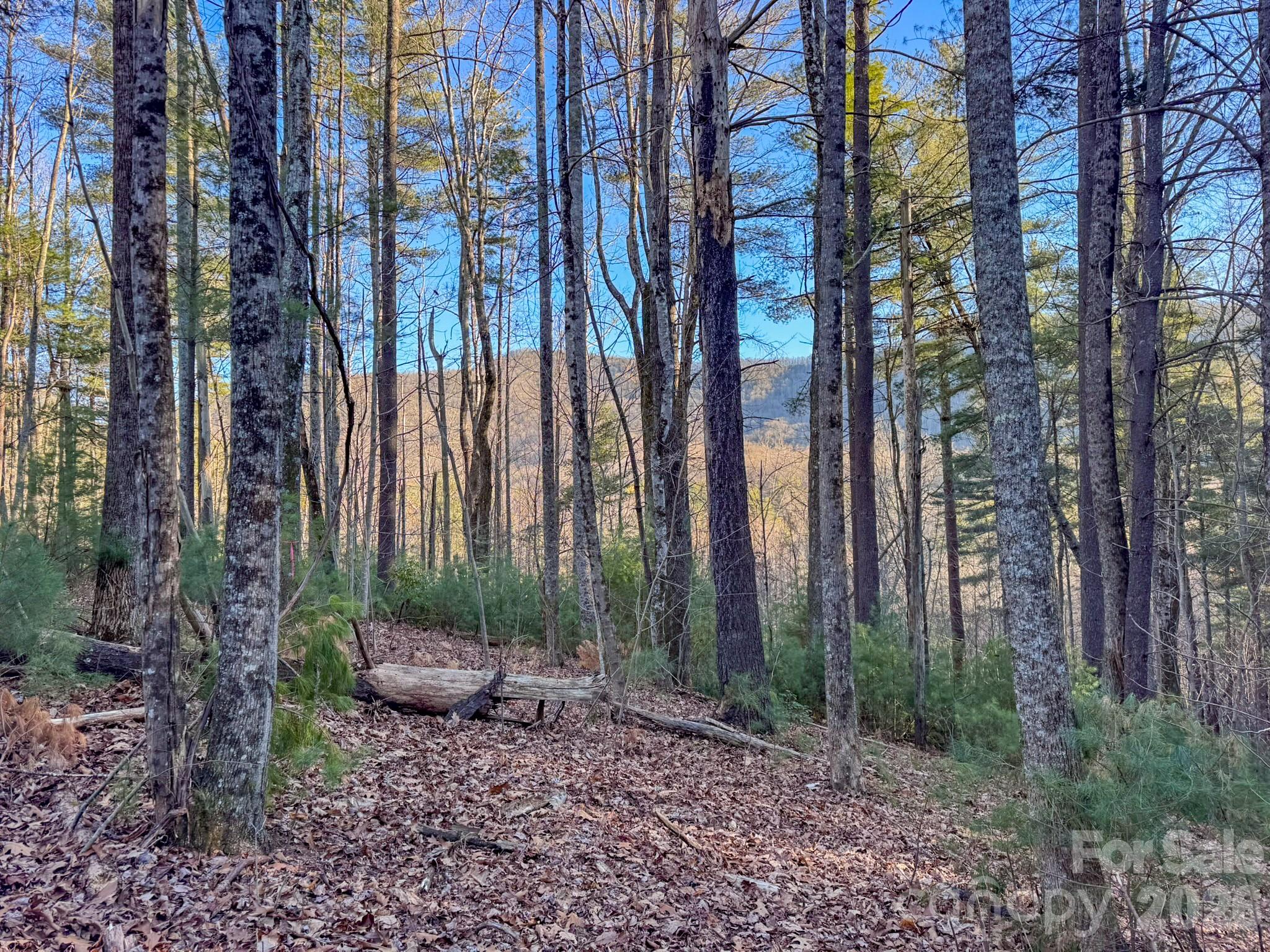 Lots 37 & 38 Settlers Ridge Road Hendersonville NC 28739