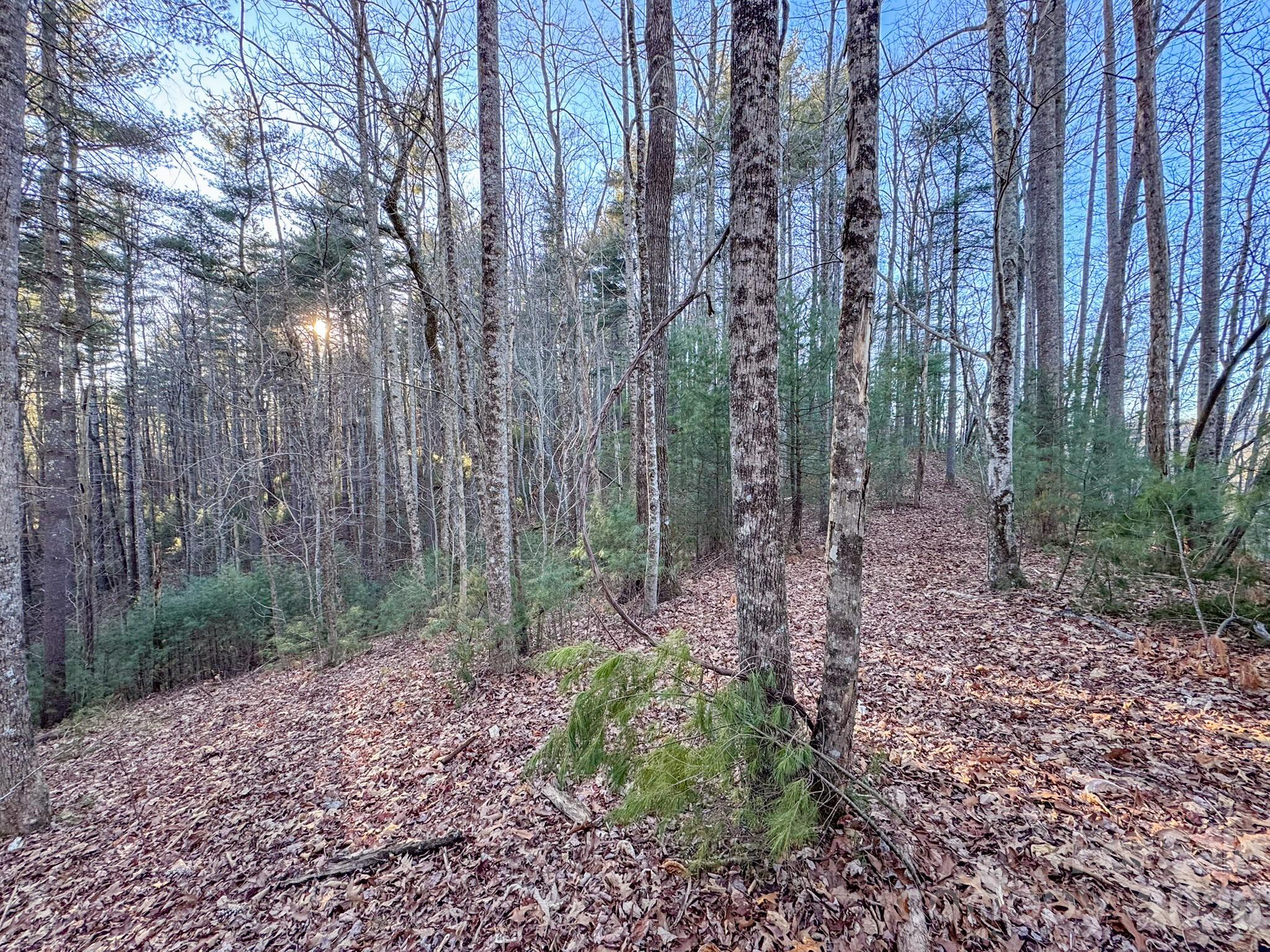 Lots 37 & 38 Settlers Ridge Road Hendersonville NC 28739